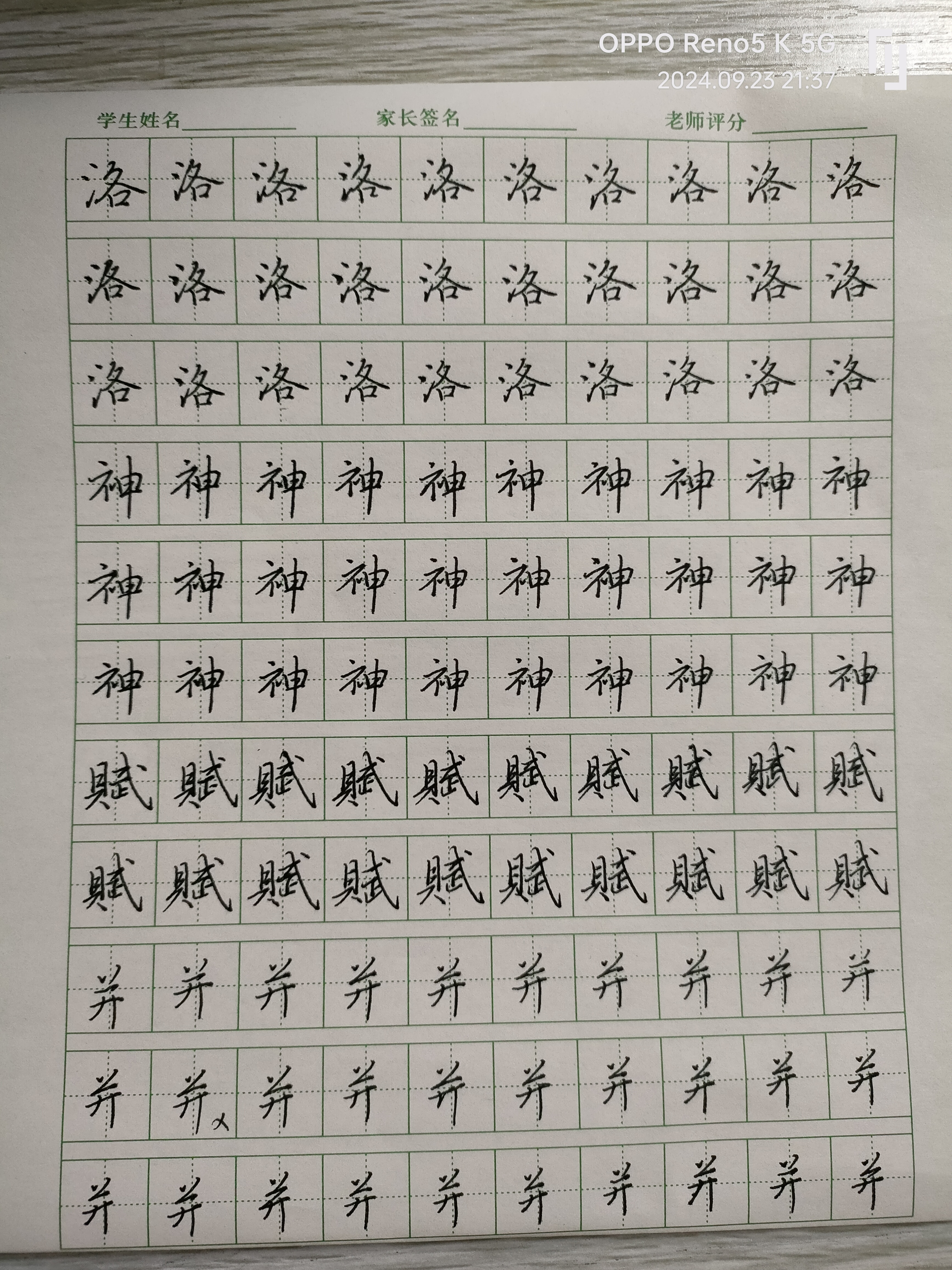 日打卡作品