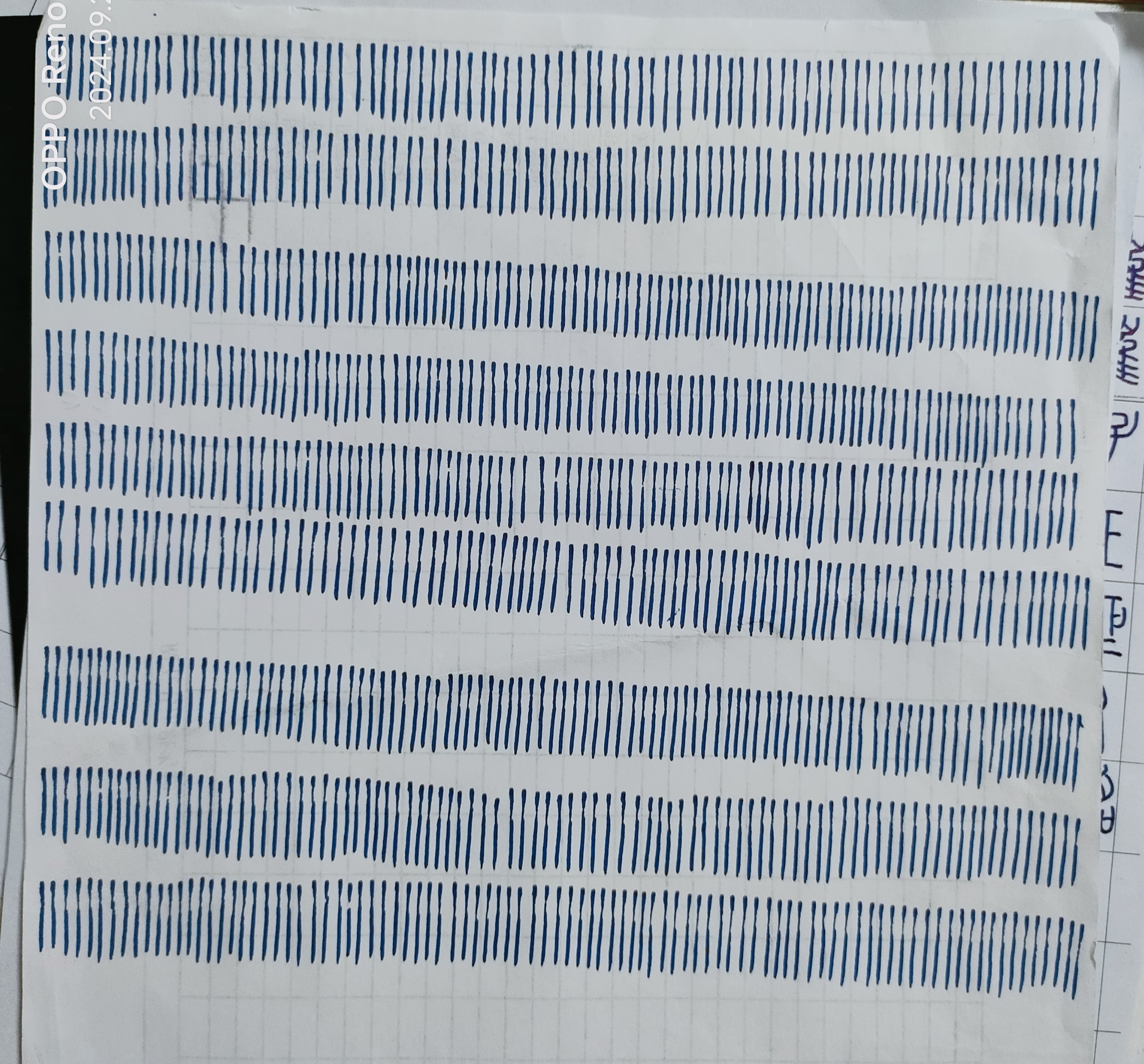日打卡作品