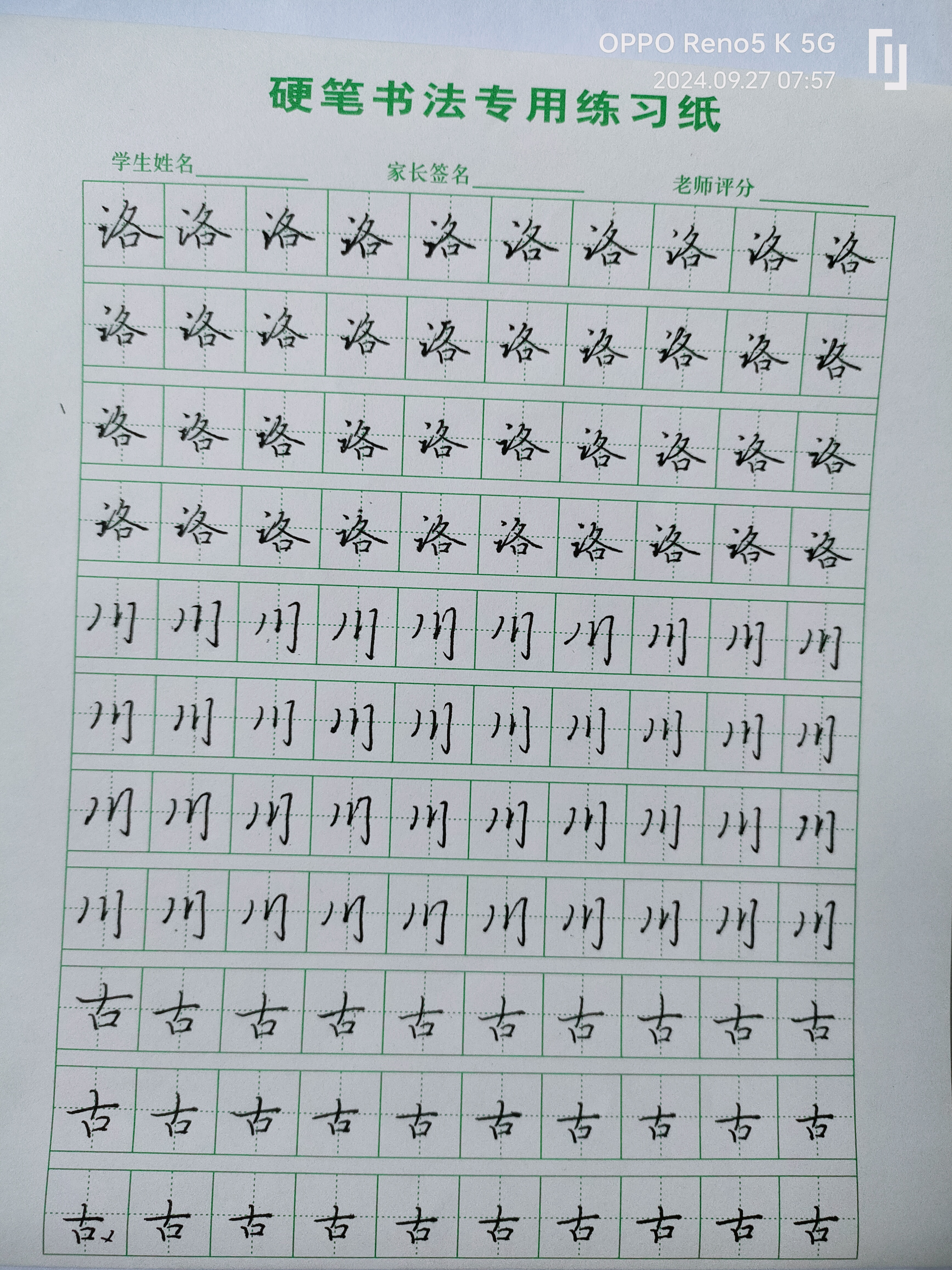 日打卡作品