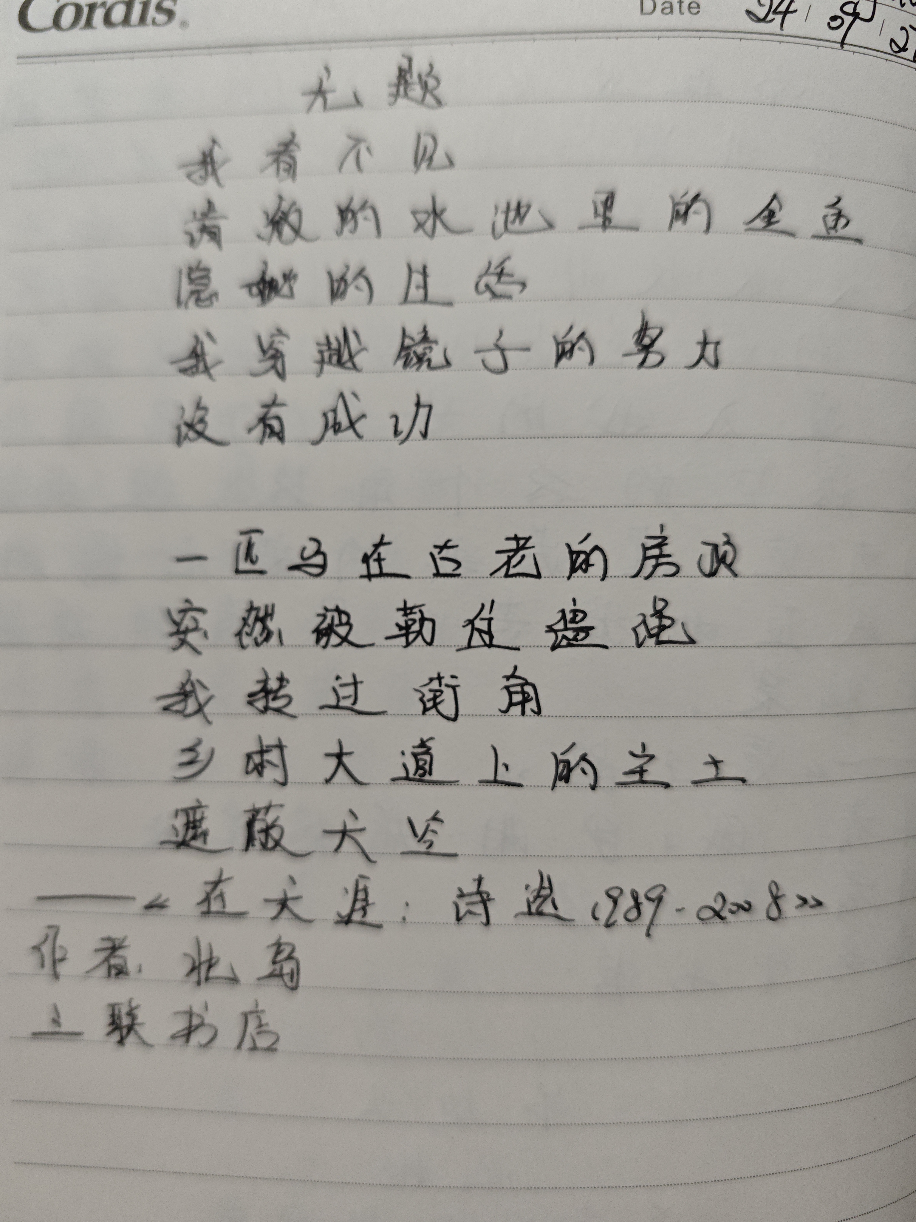 作业图片