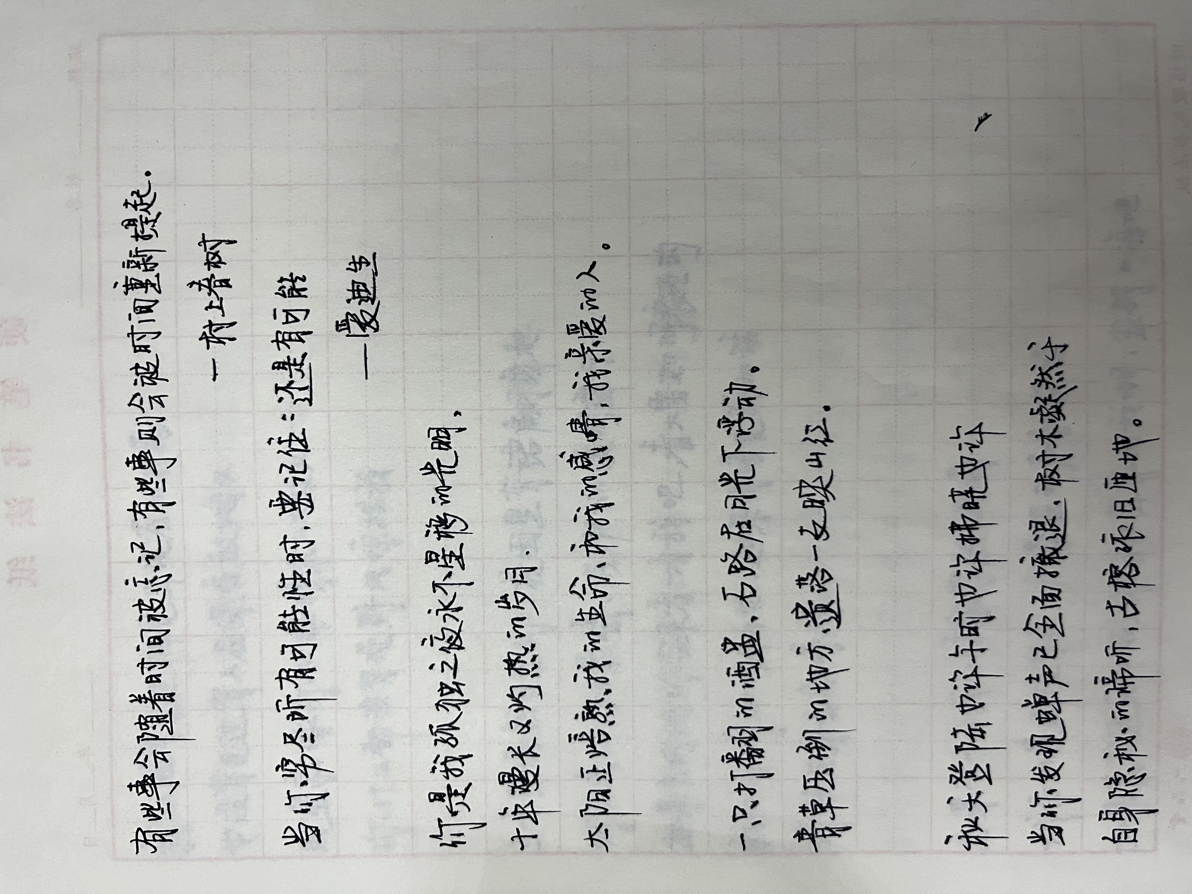 作业图片
