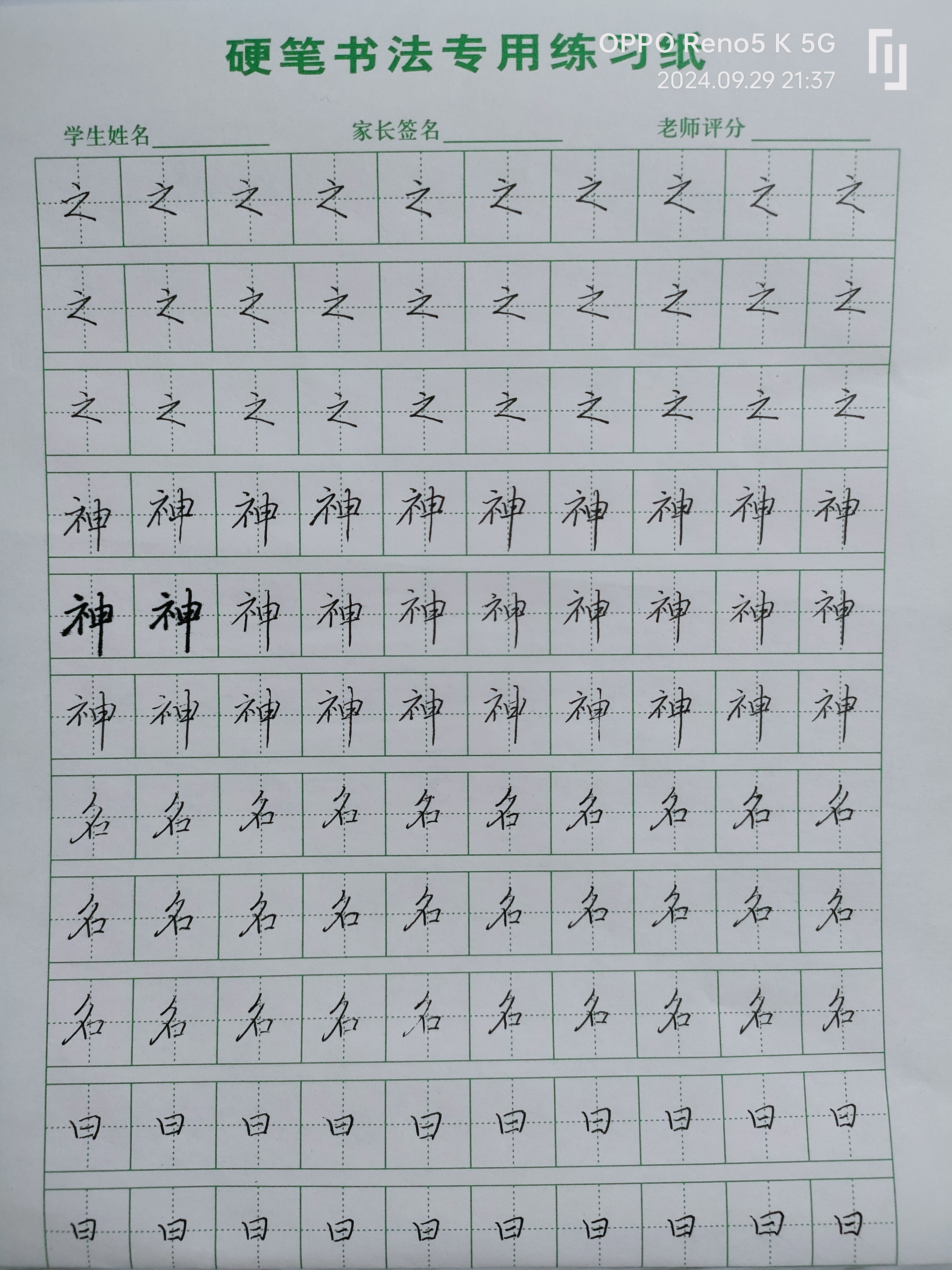 日打卡作品