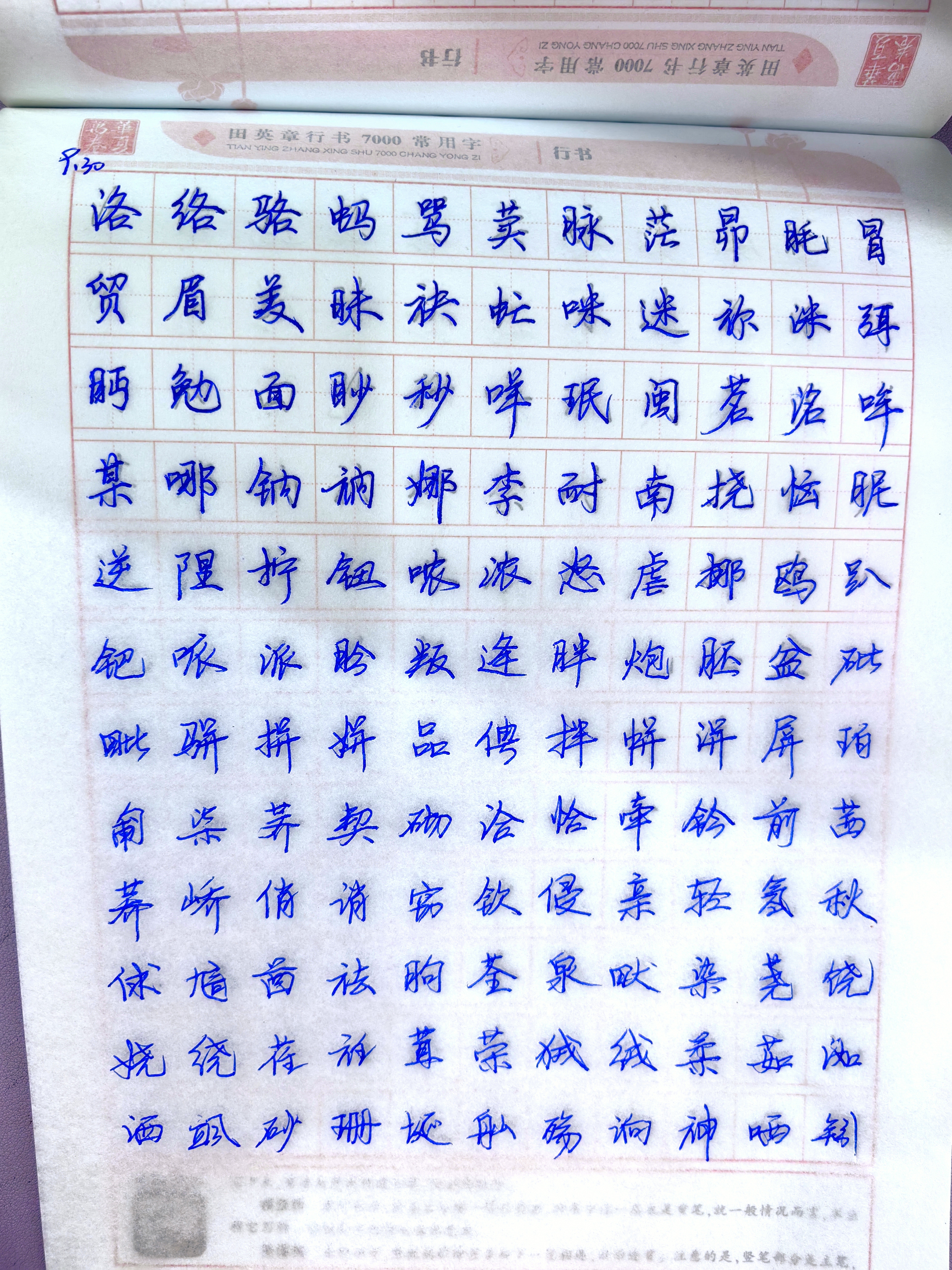 作业图片