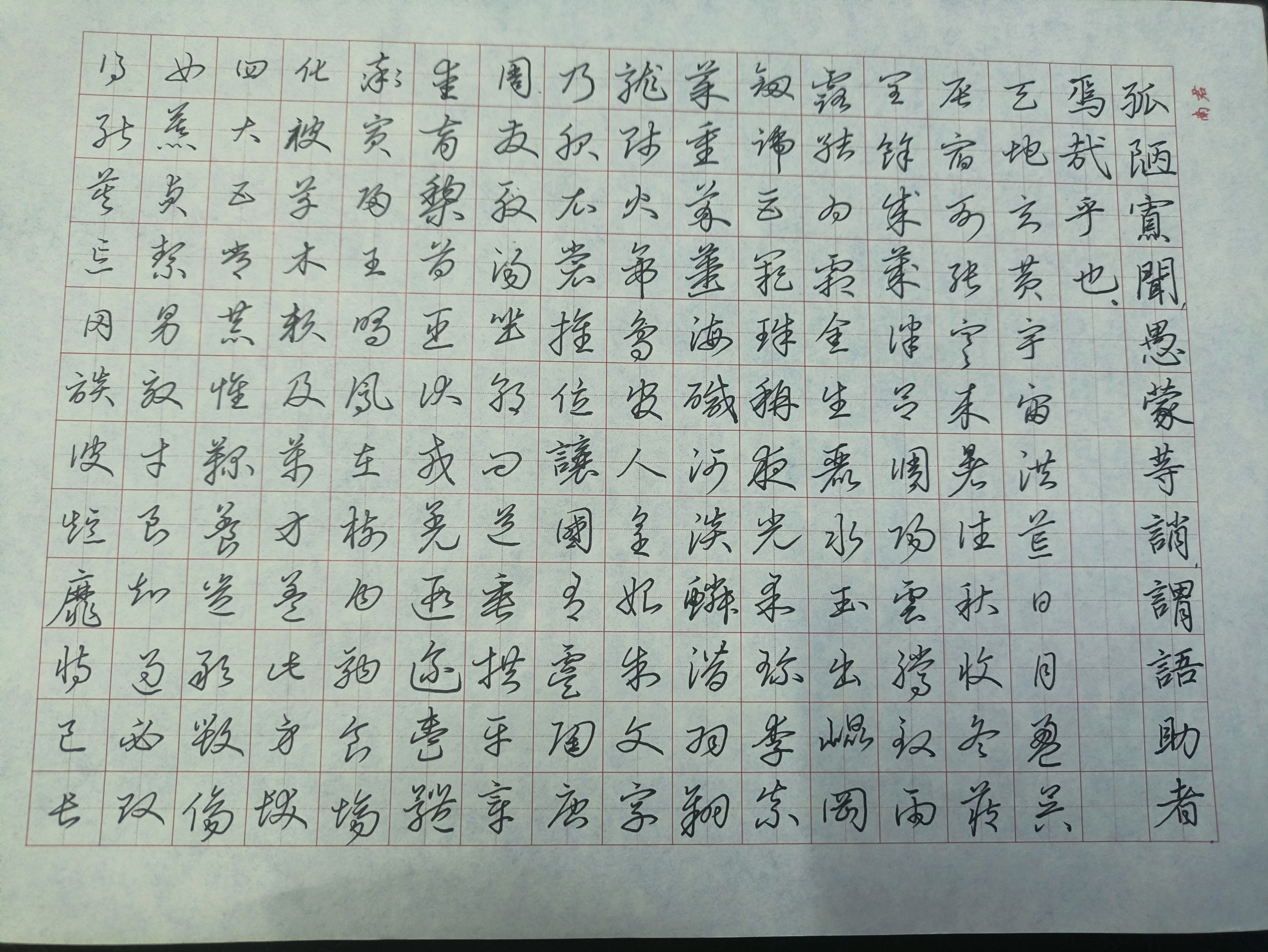 作业图片