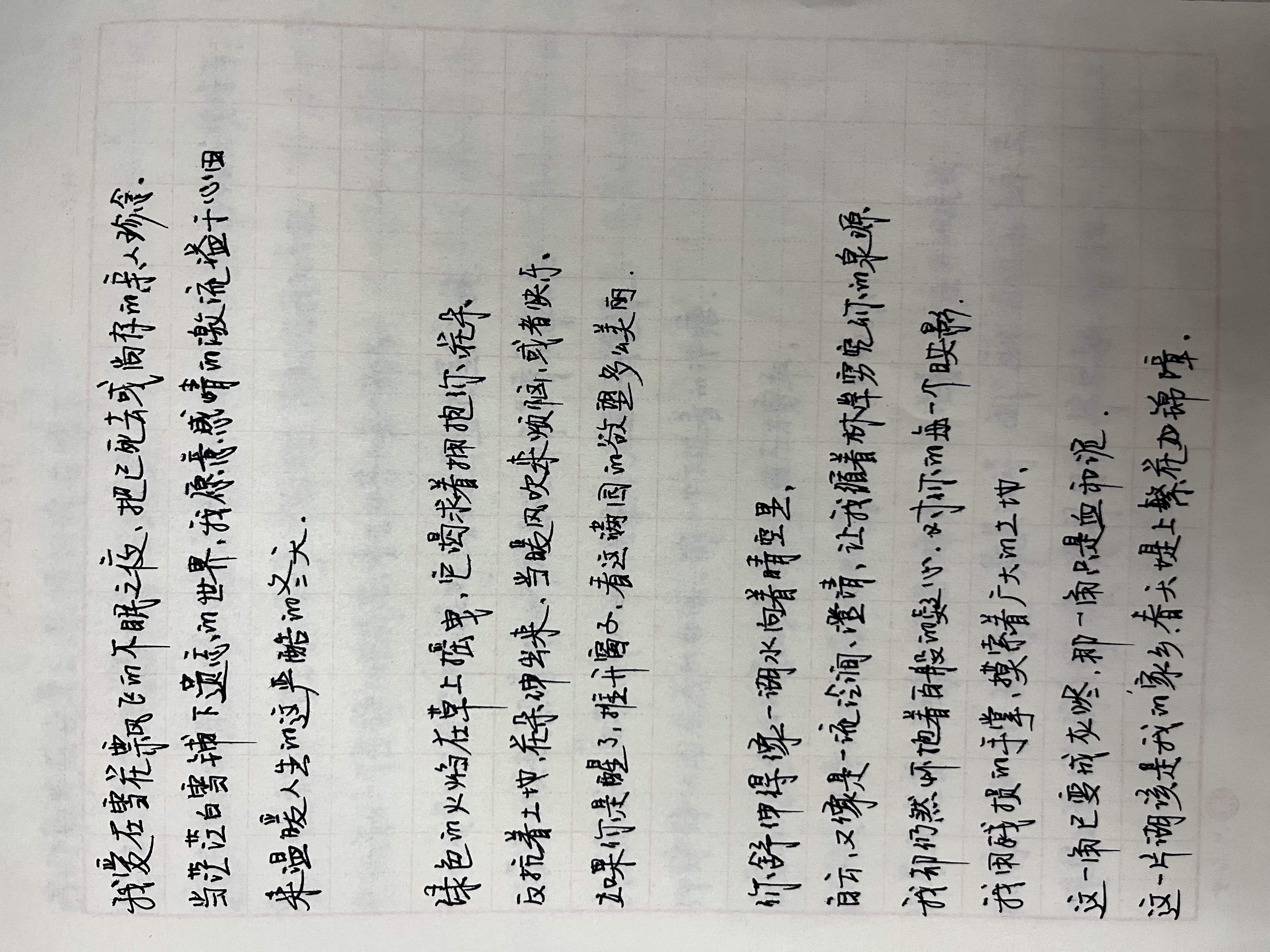 作业图片
