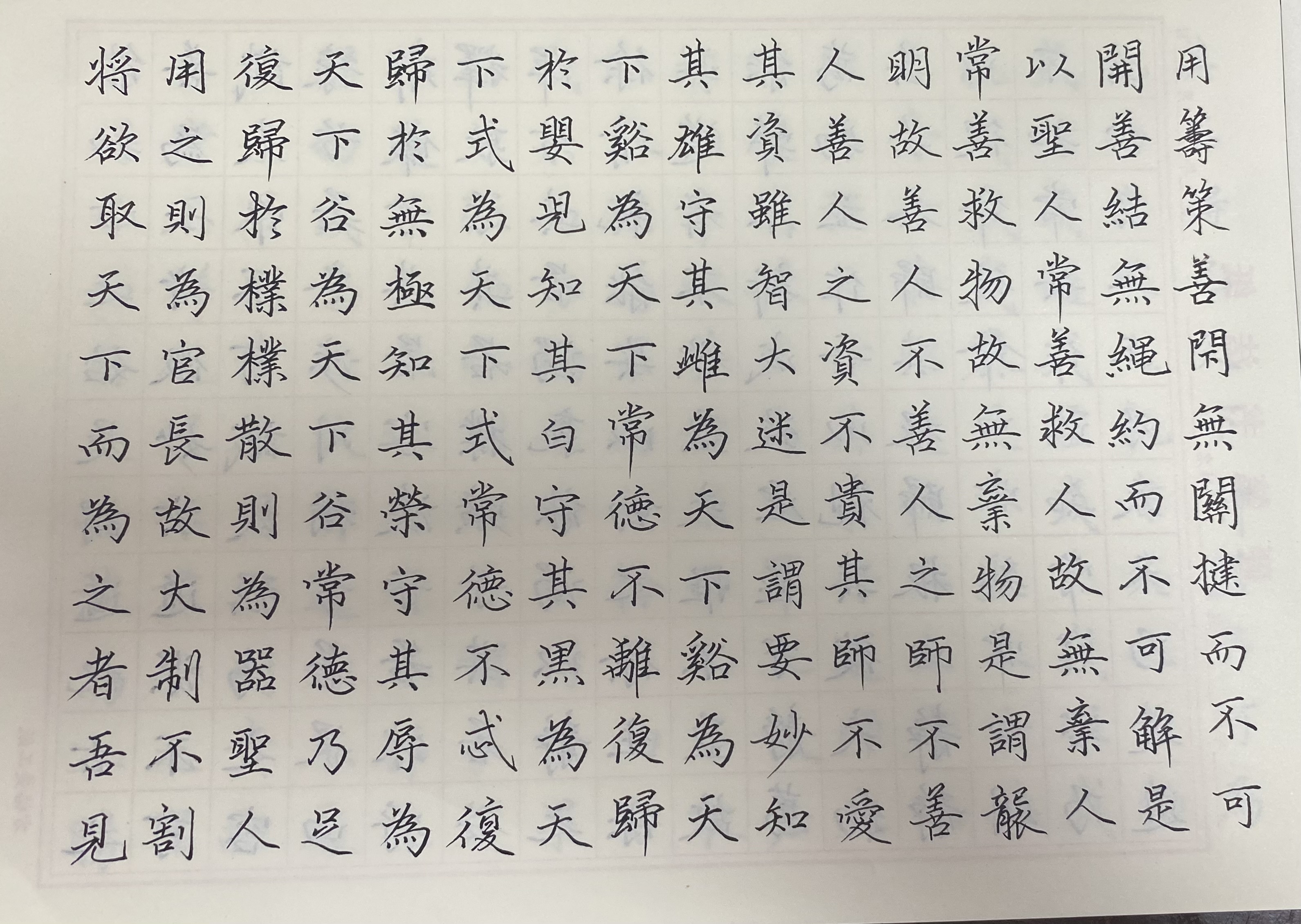 作业图片