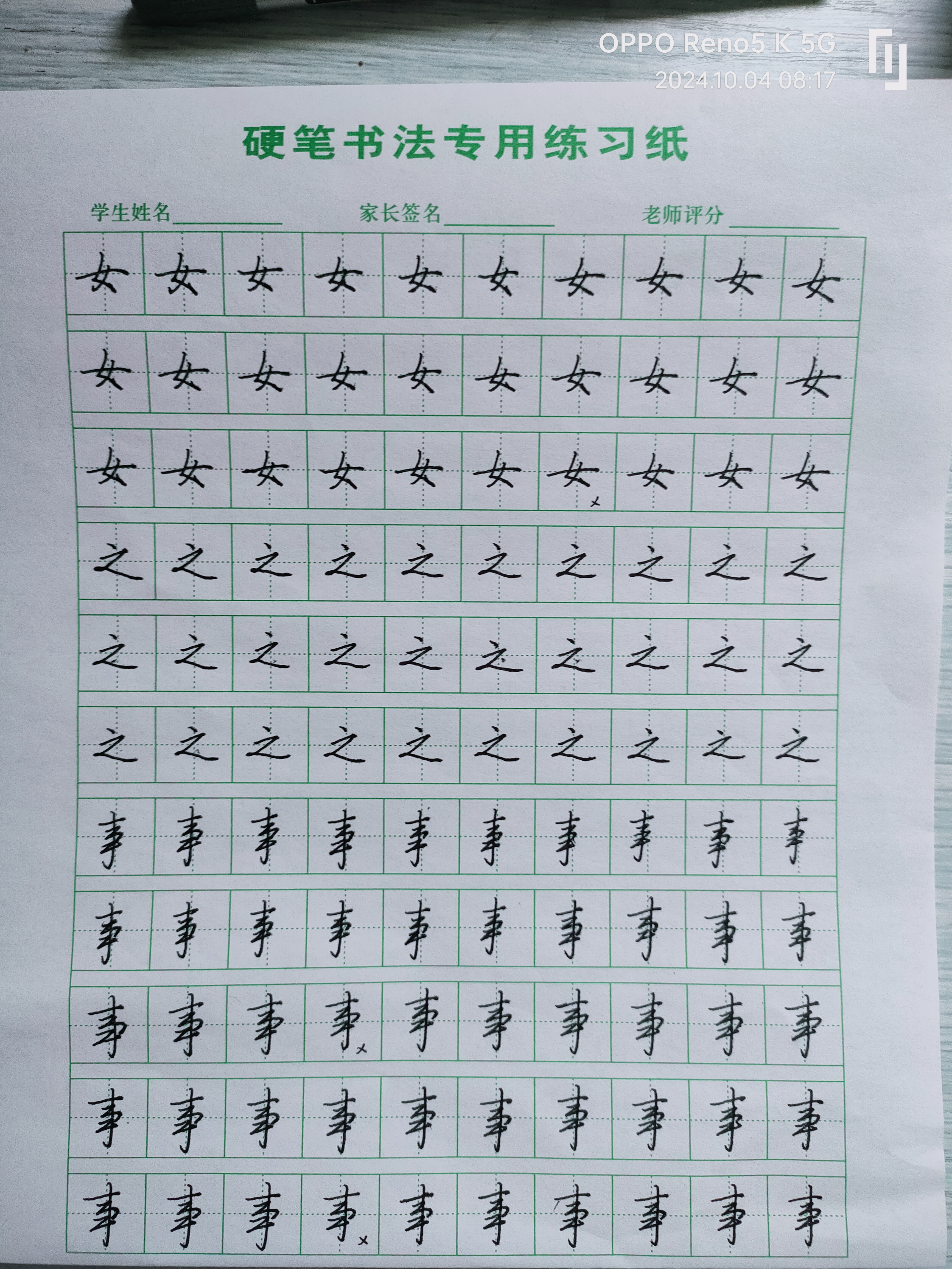 日打卡作品
