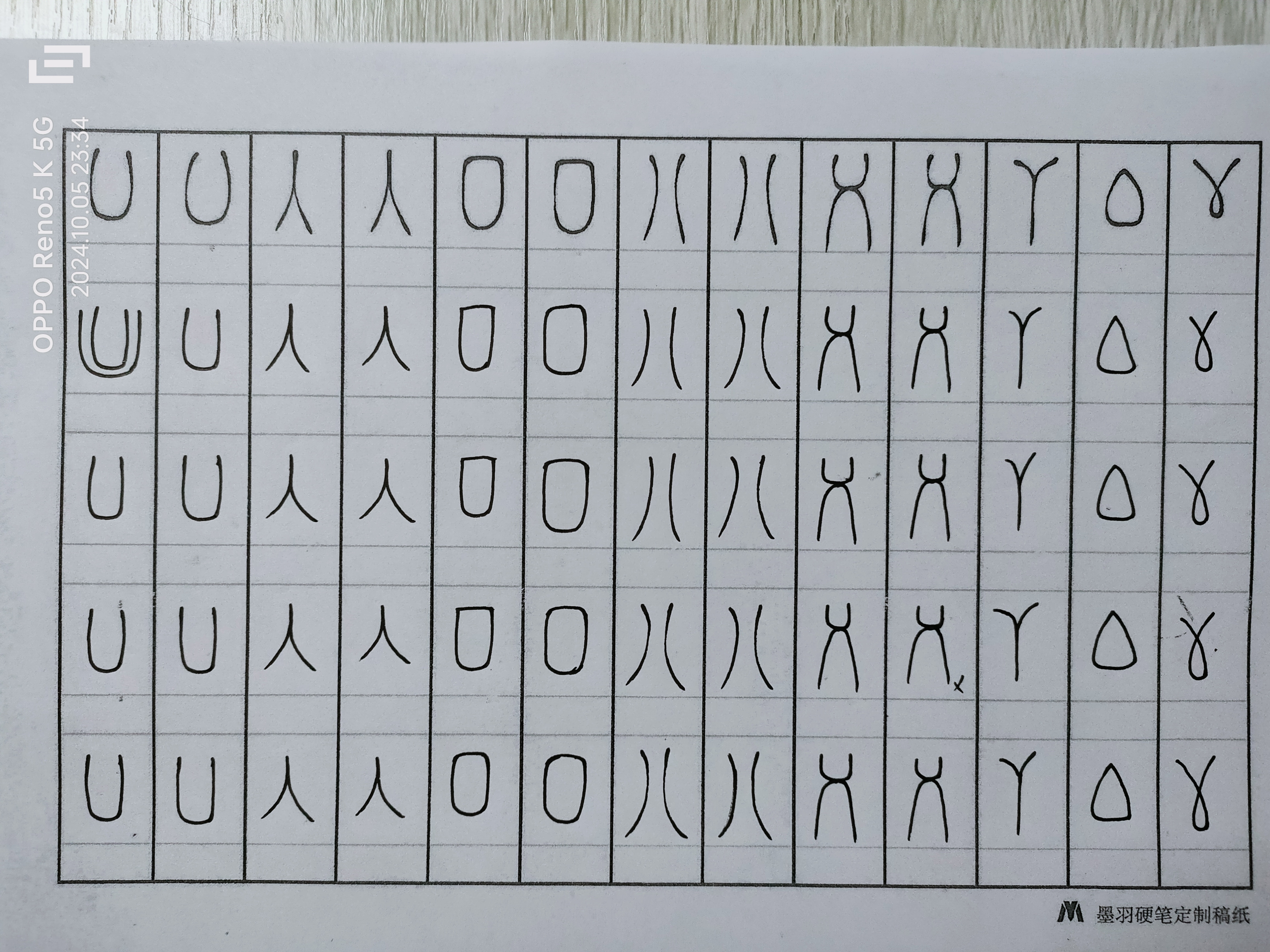 日打卡作品