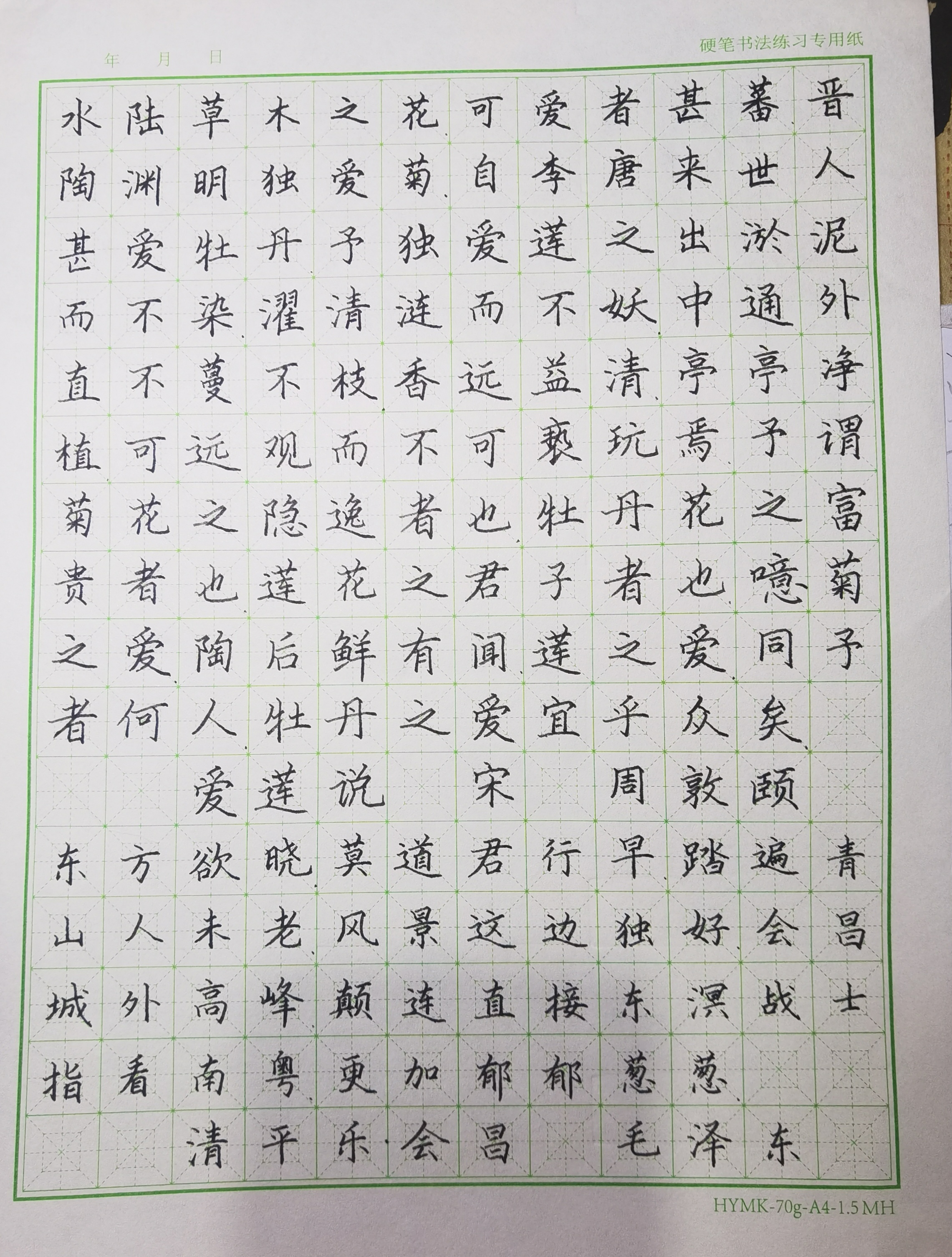 作业图片