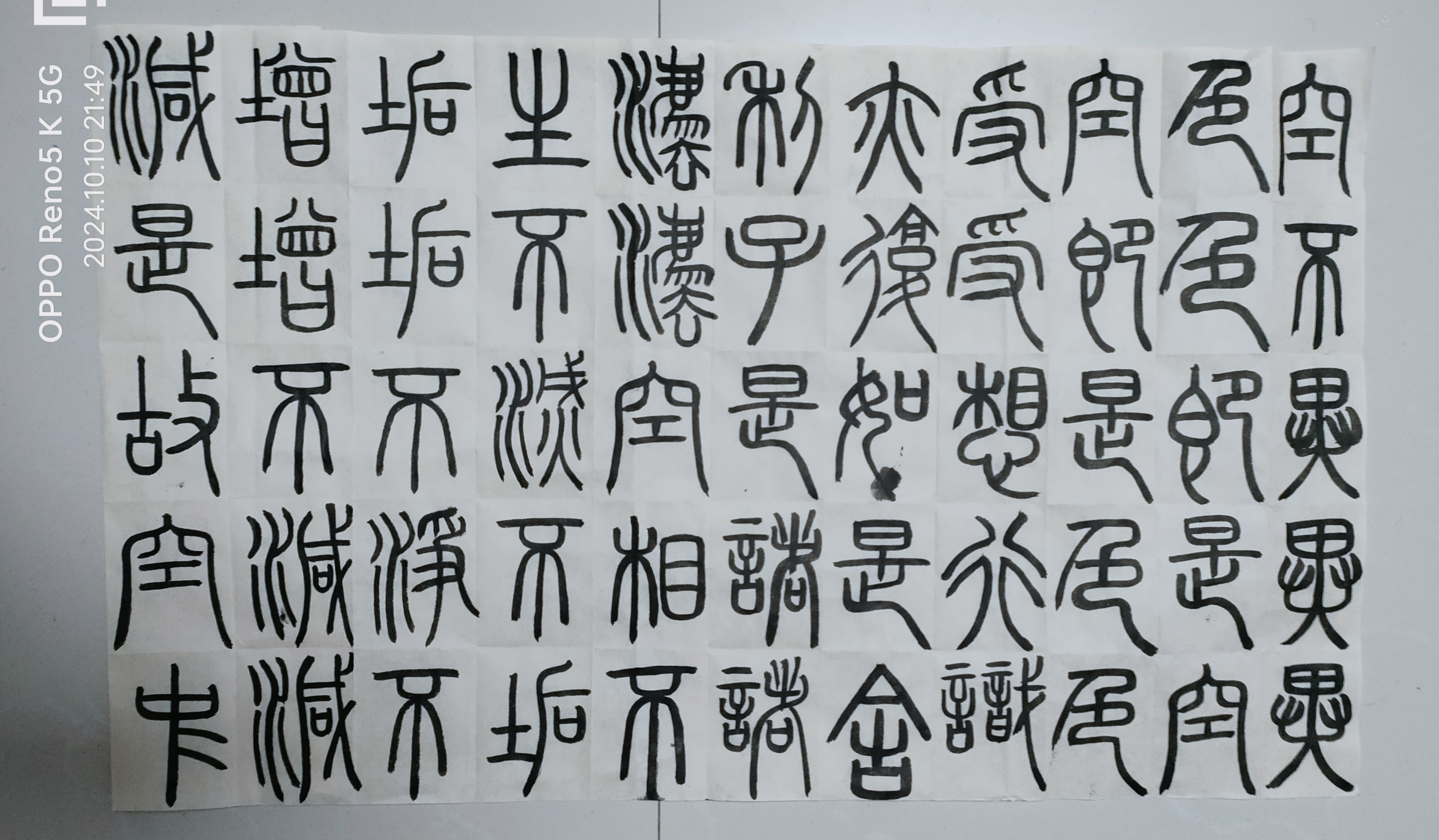 日打卡作品