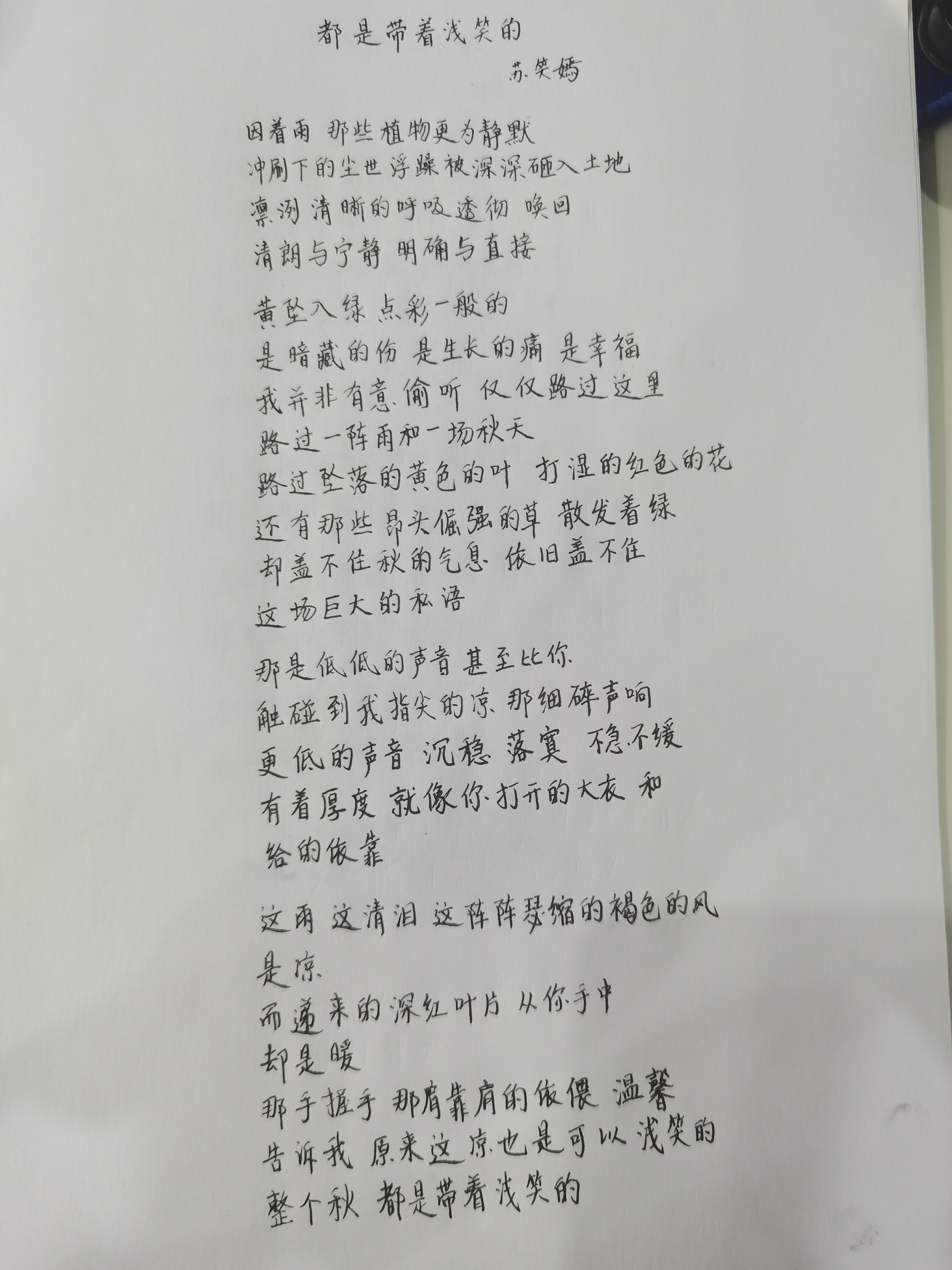 作业图片