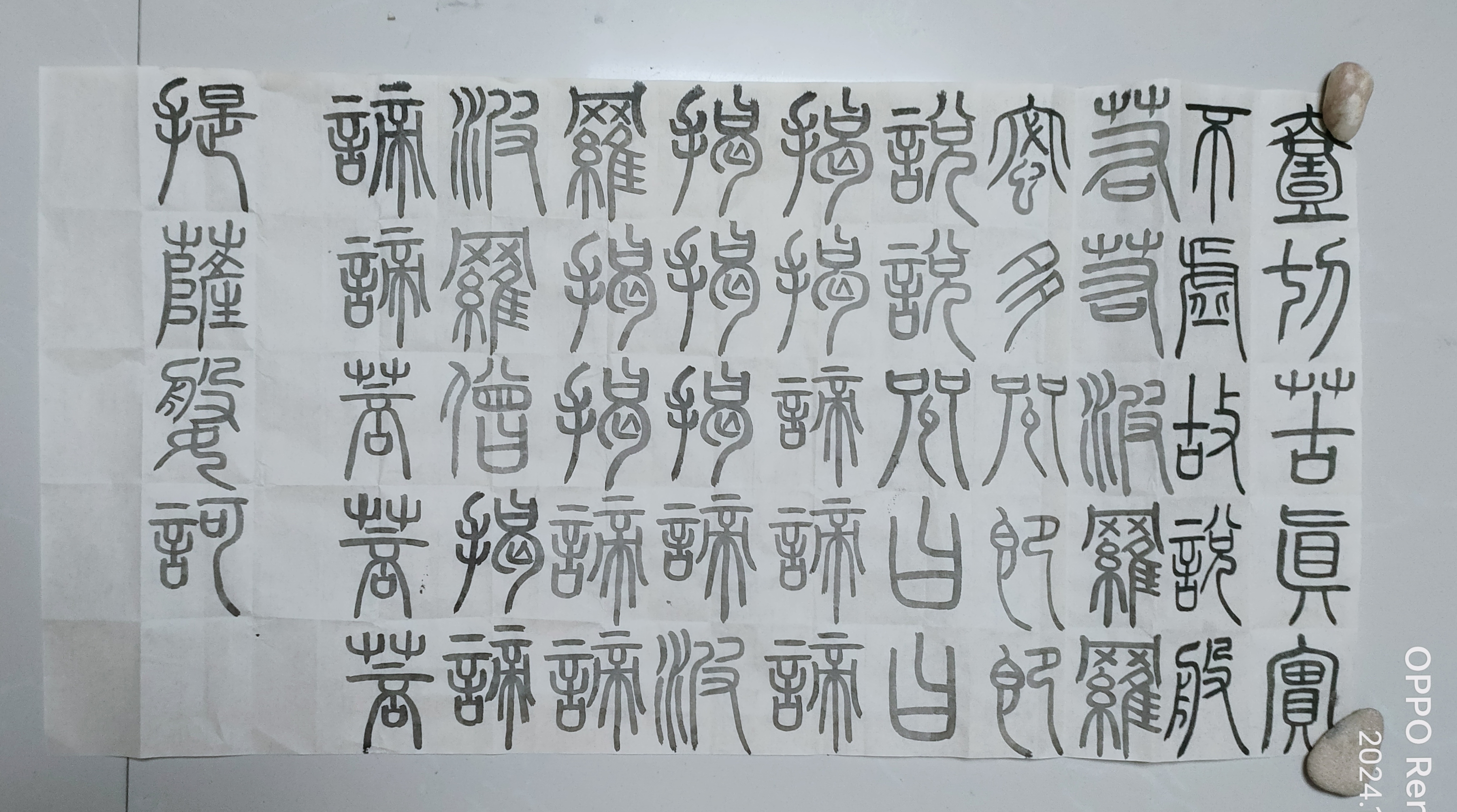 日打卡作品