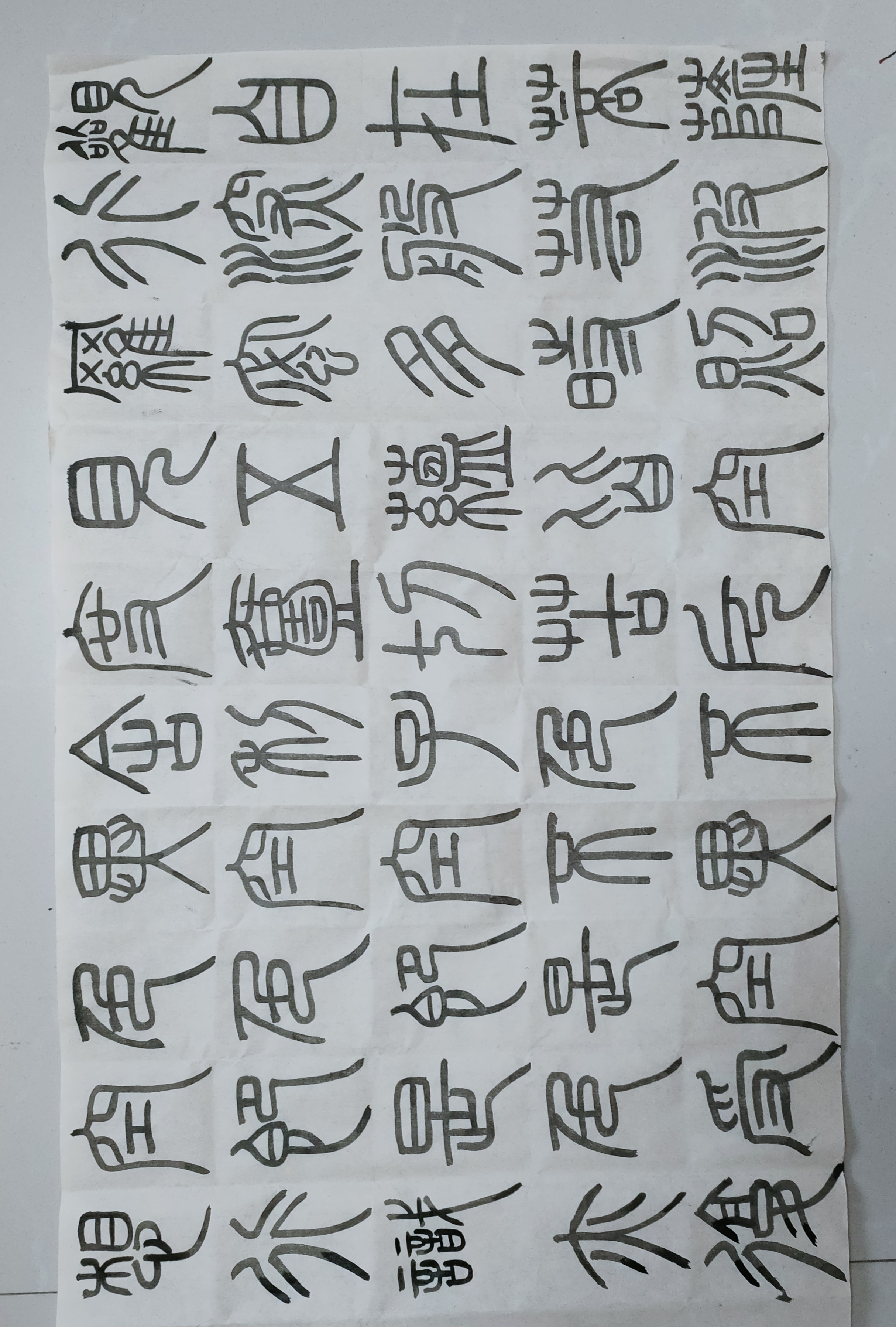 日打卡作品