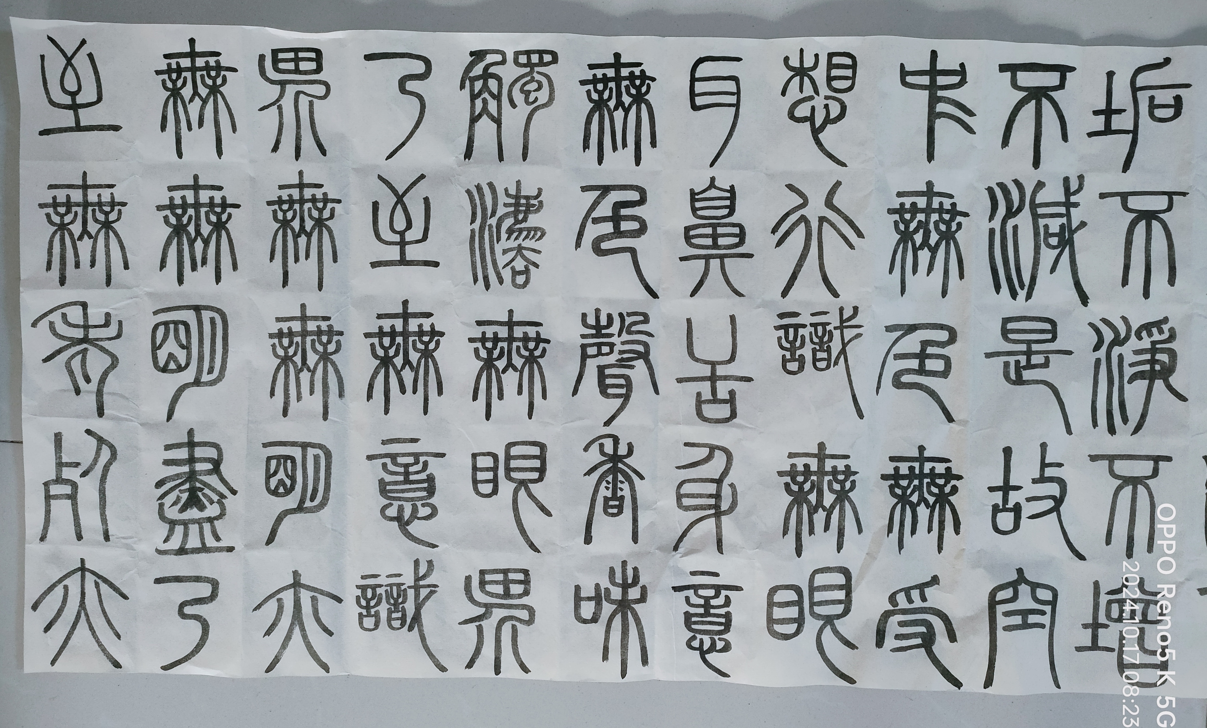日打卡作品