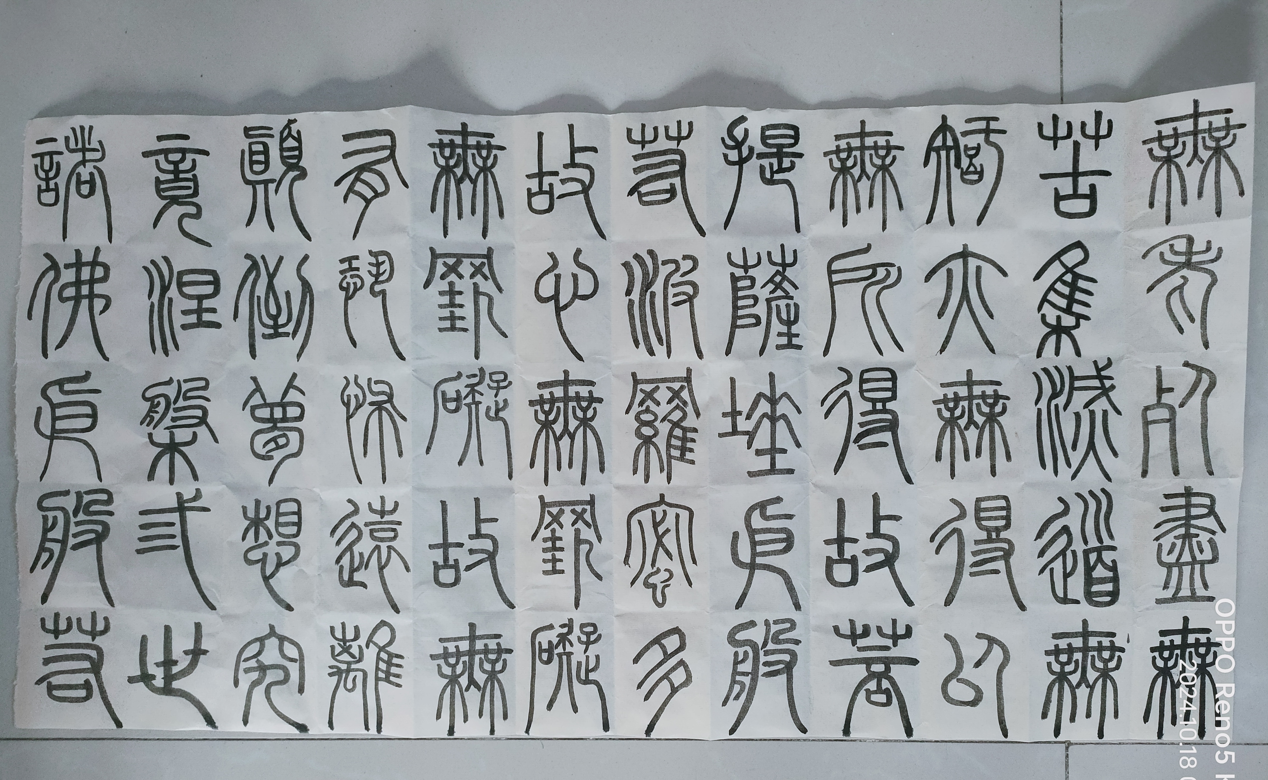 日打卡作品