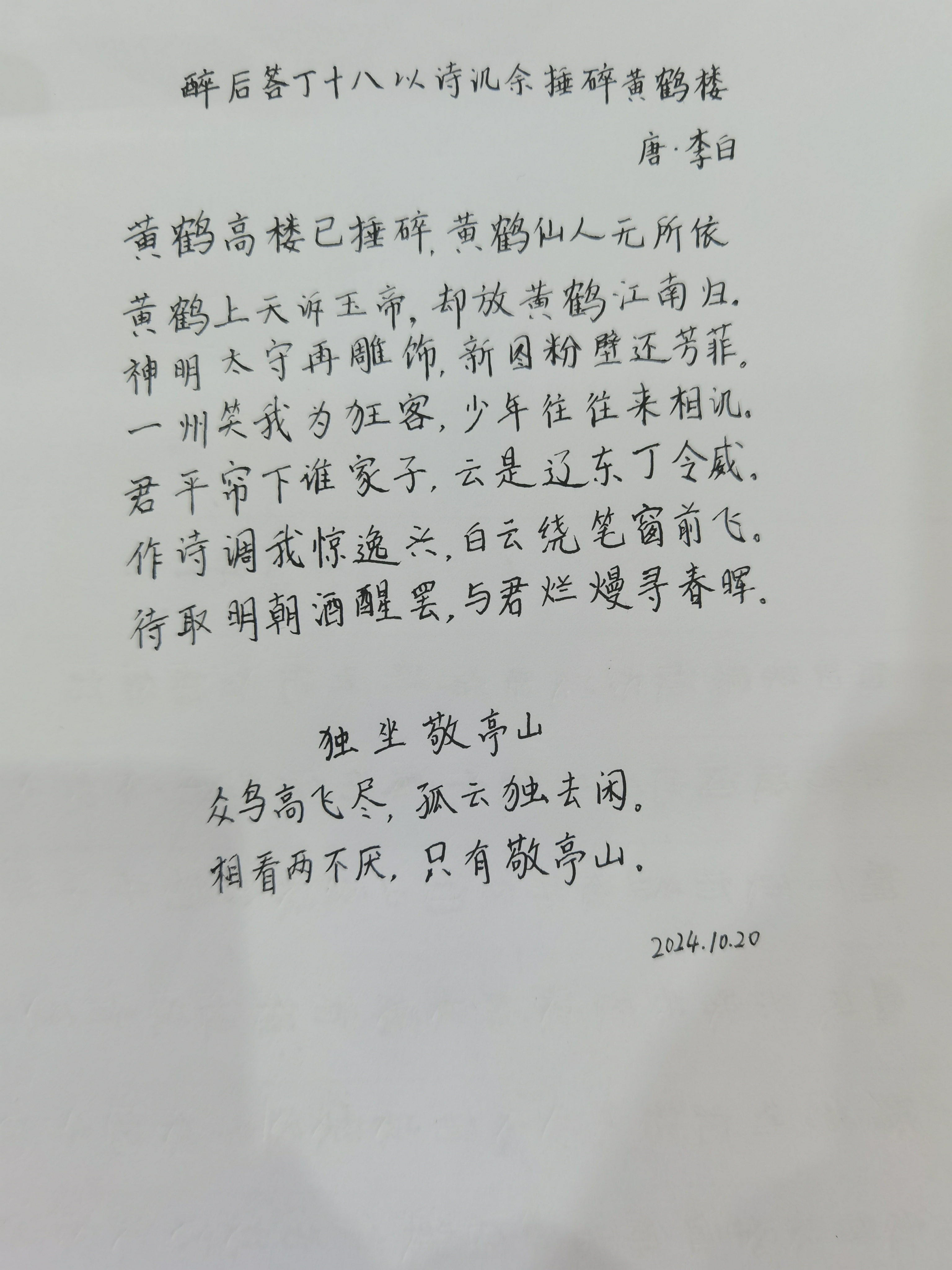 作业图片