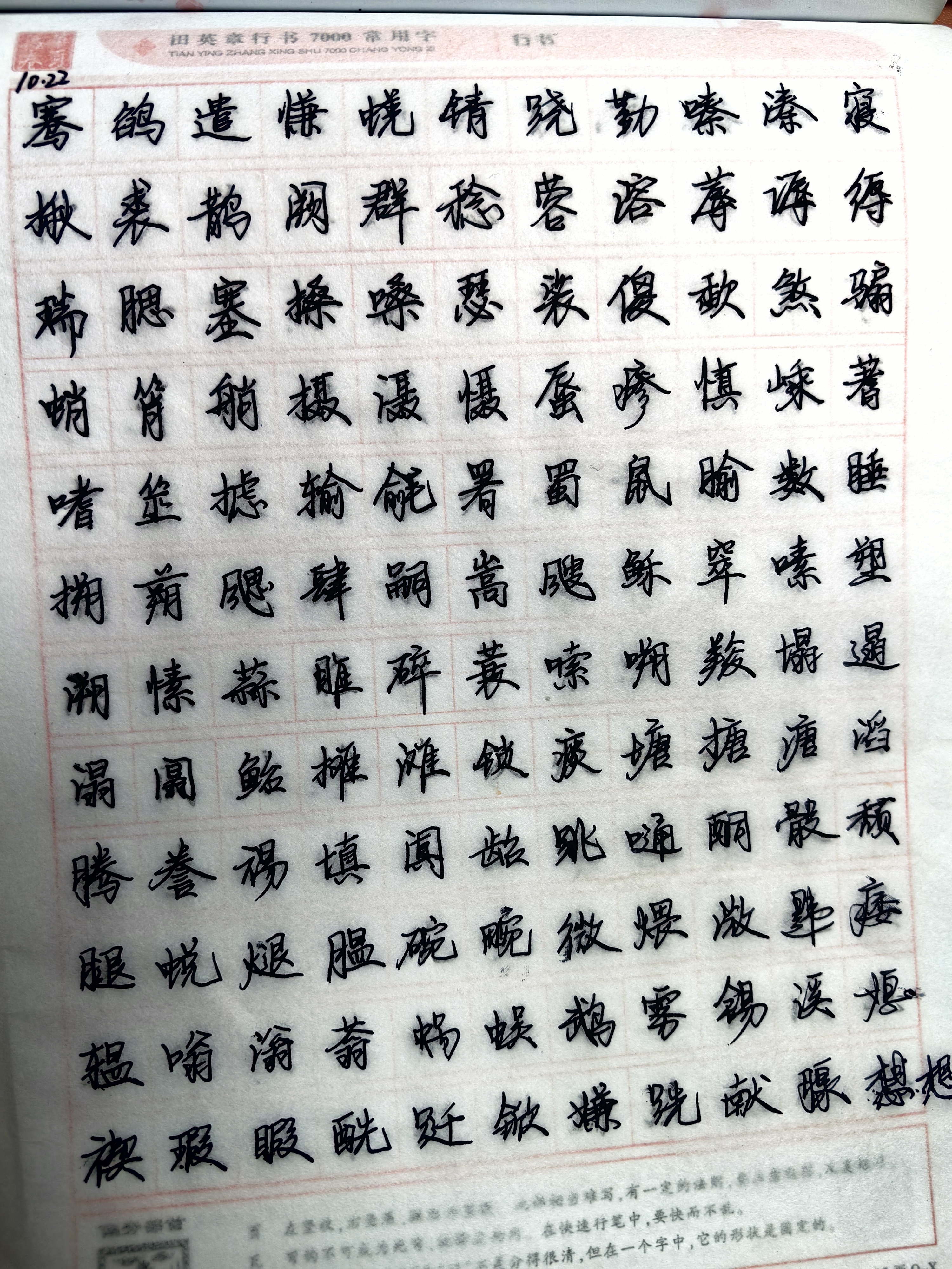 作业图片