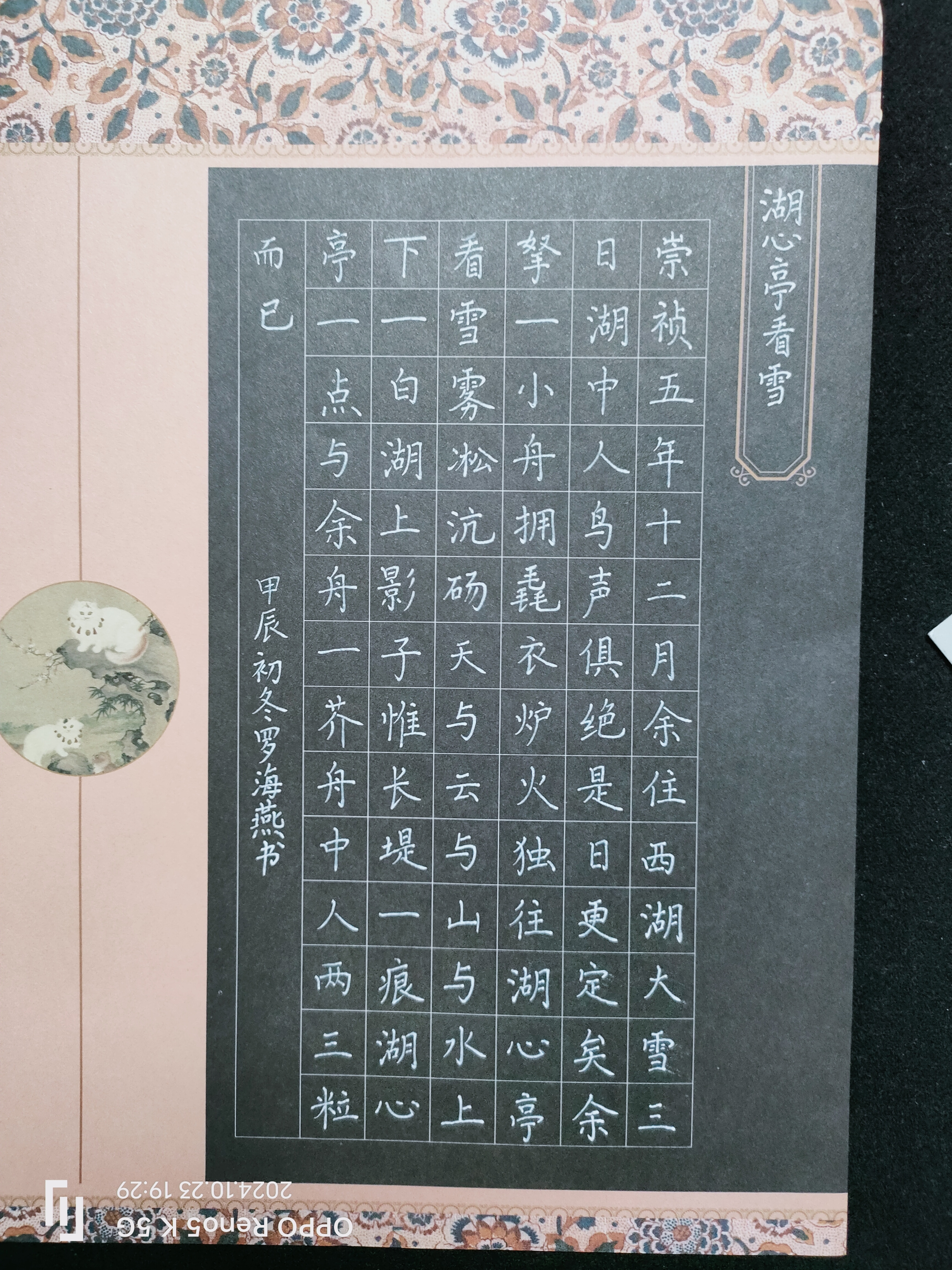 日打卡作品