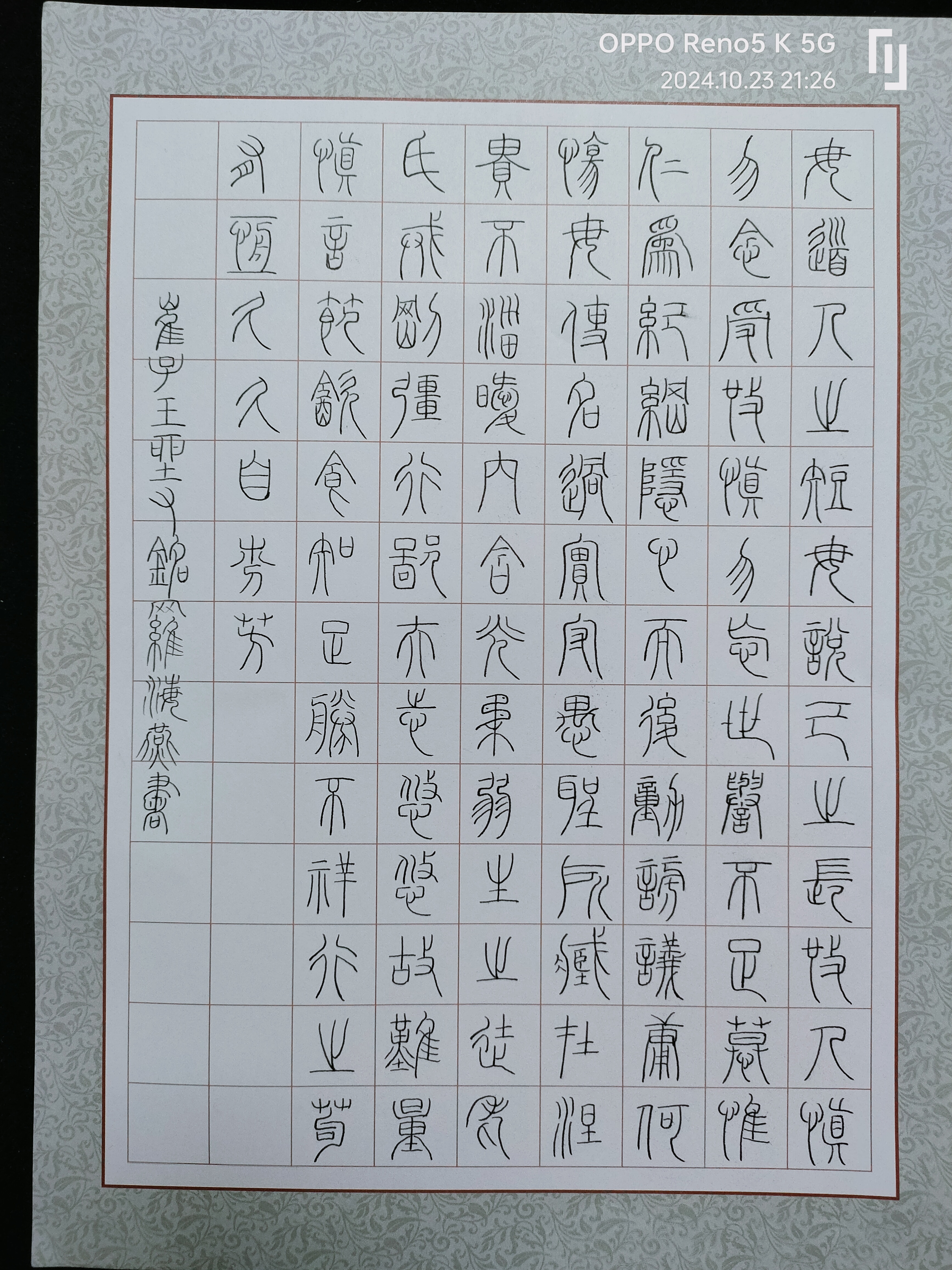日打卡作品