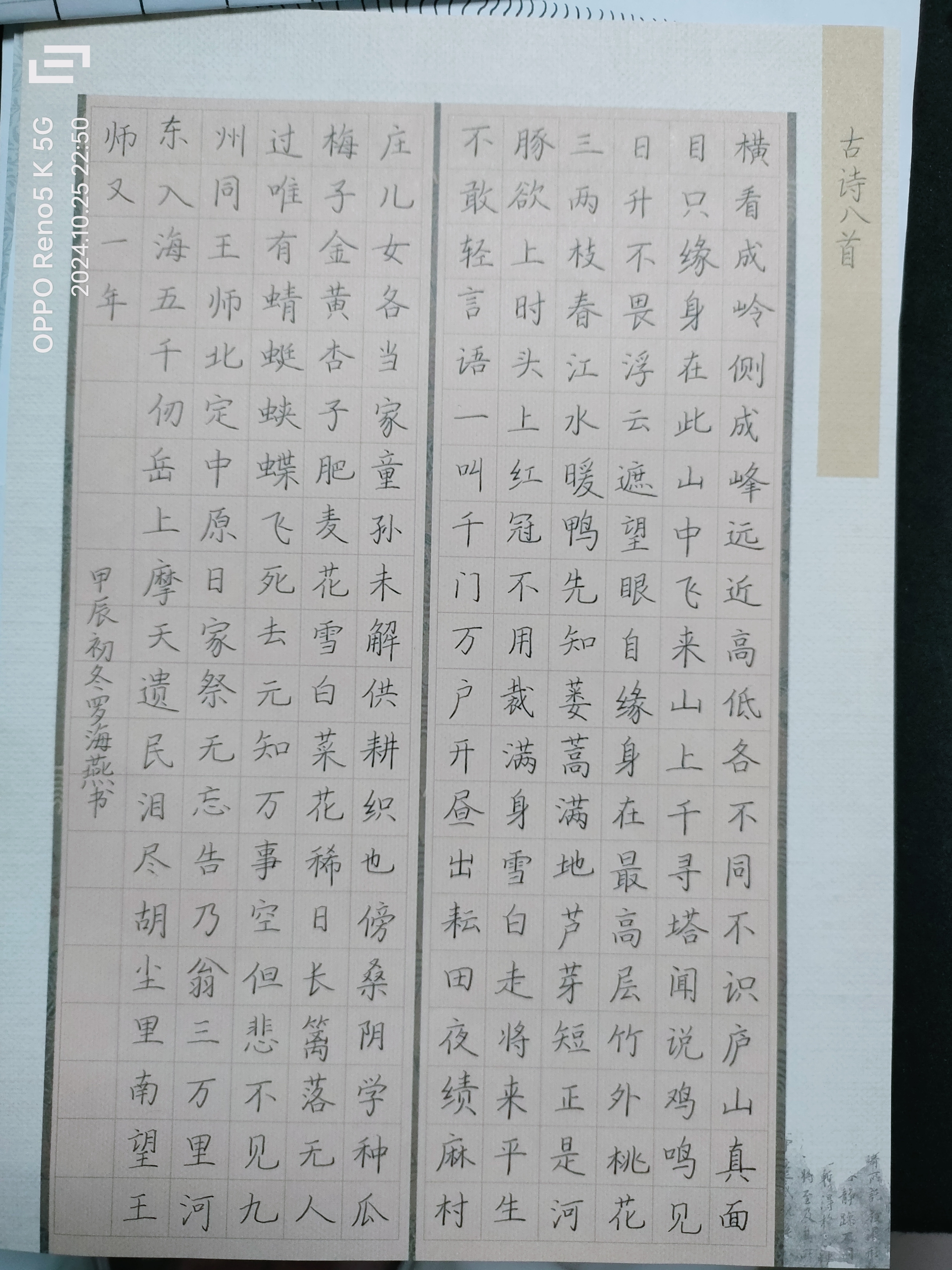日打卡作品