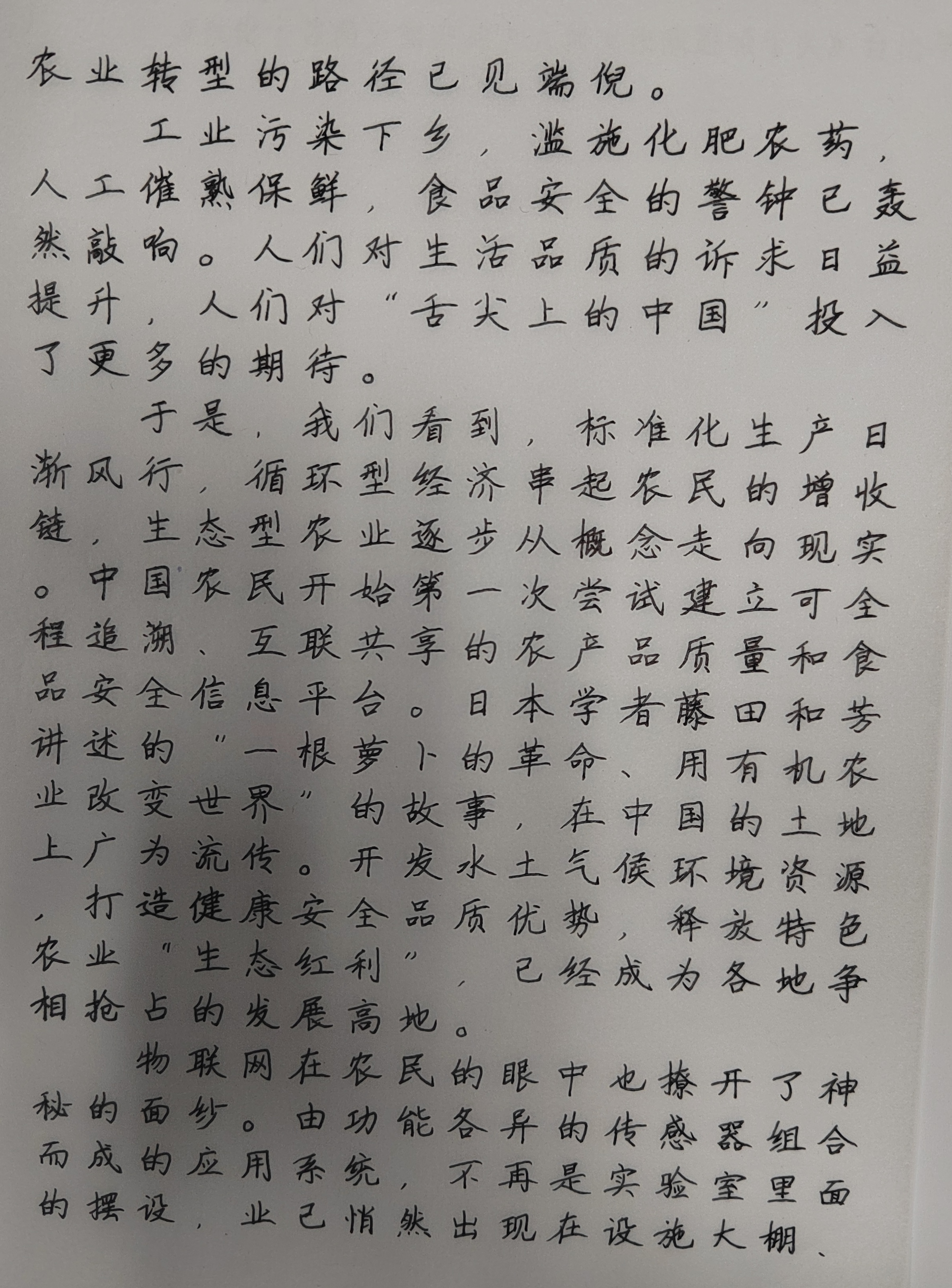 作业图片