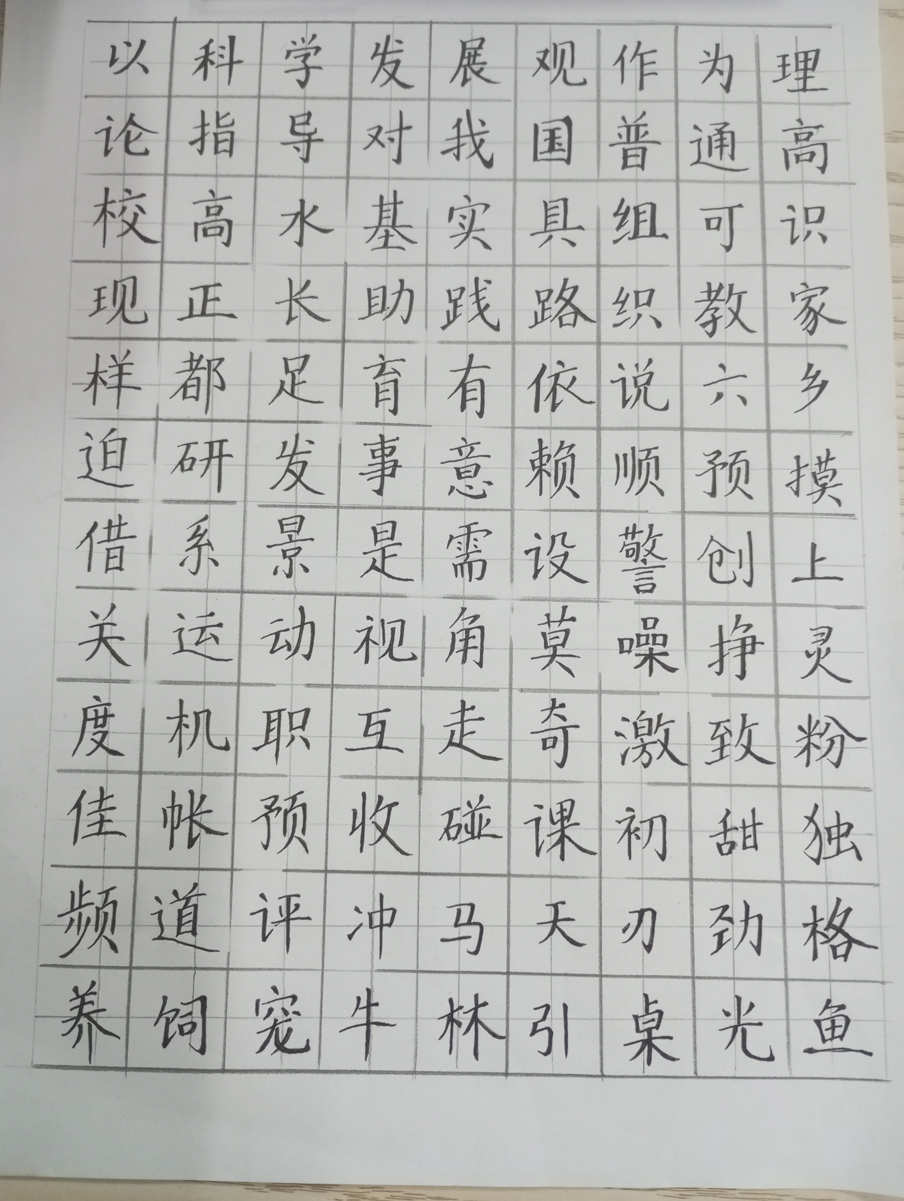 作业图片