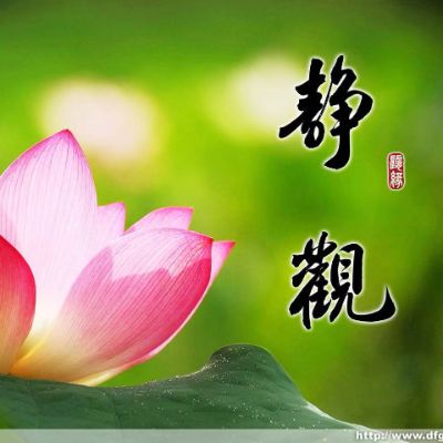 罗海燕