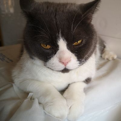 jinni