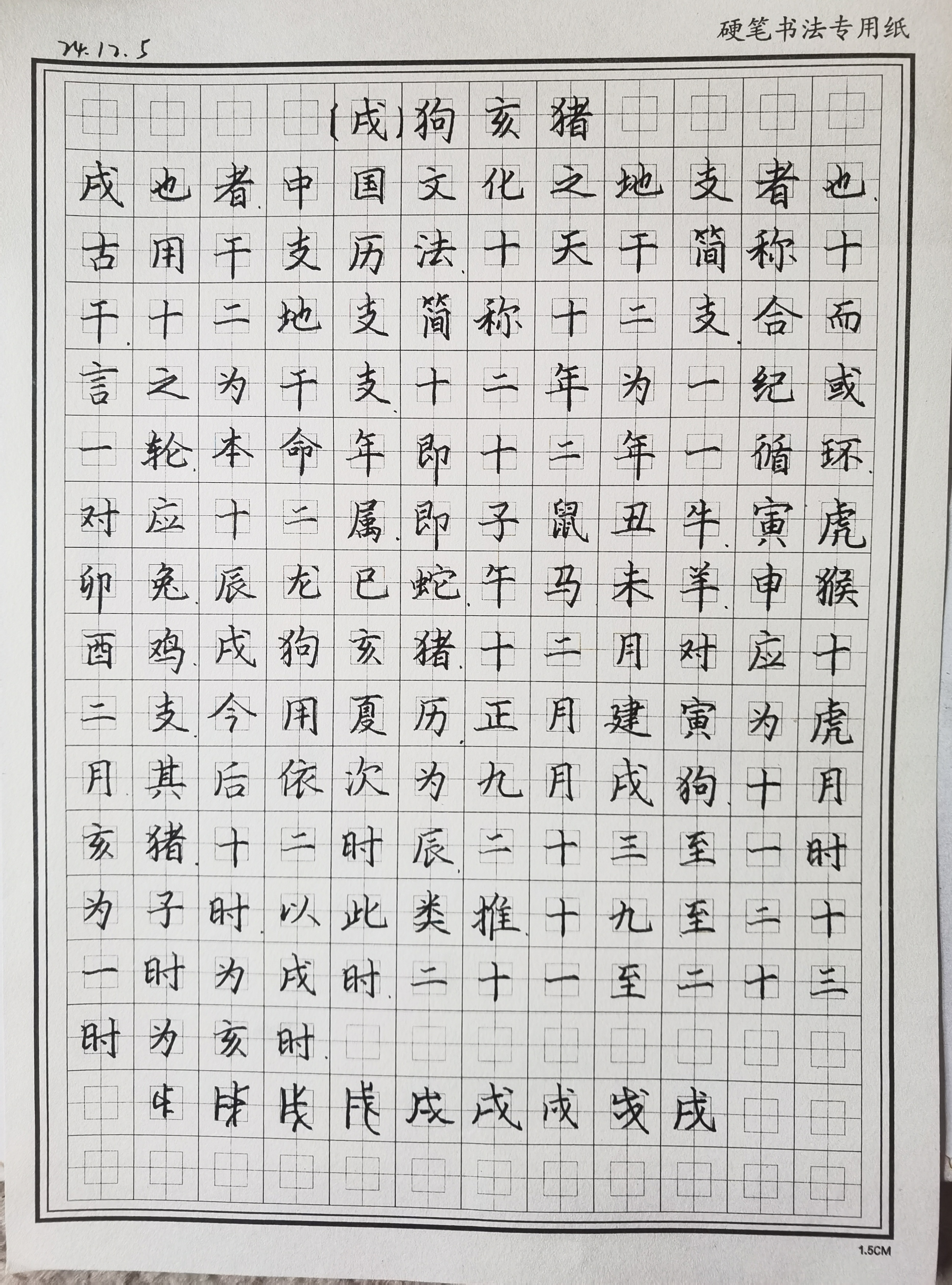 作业图片