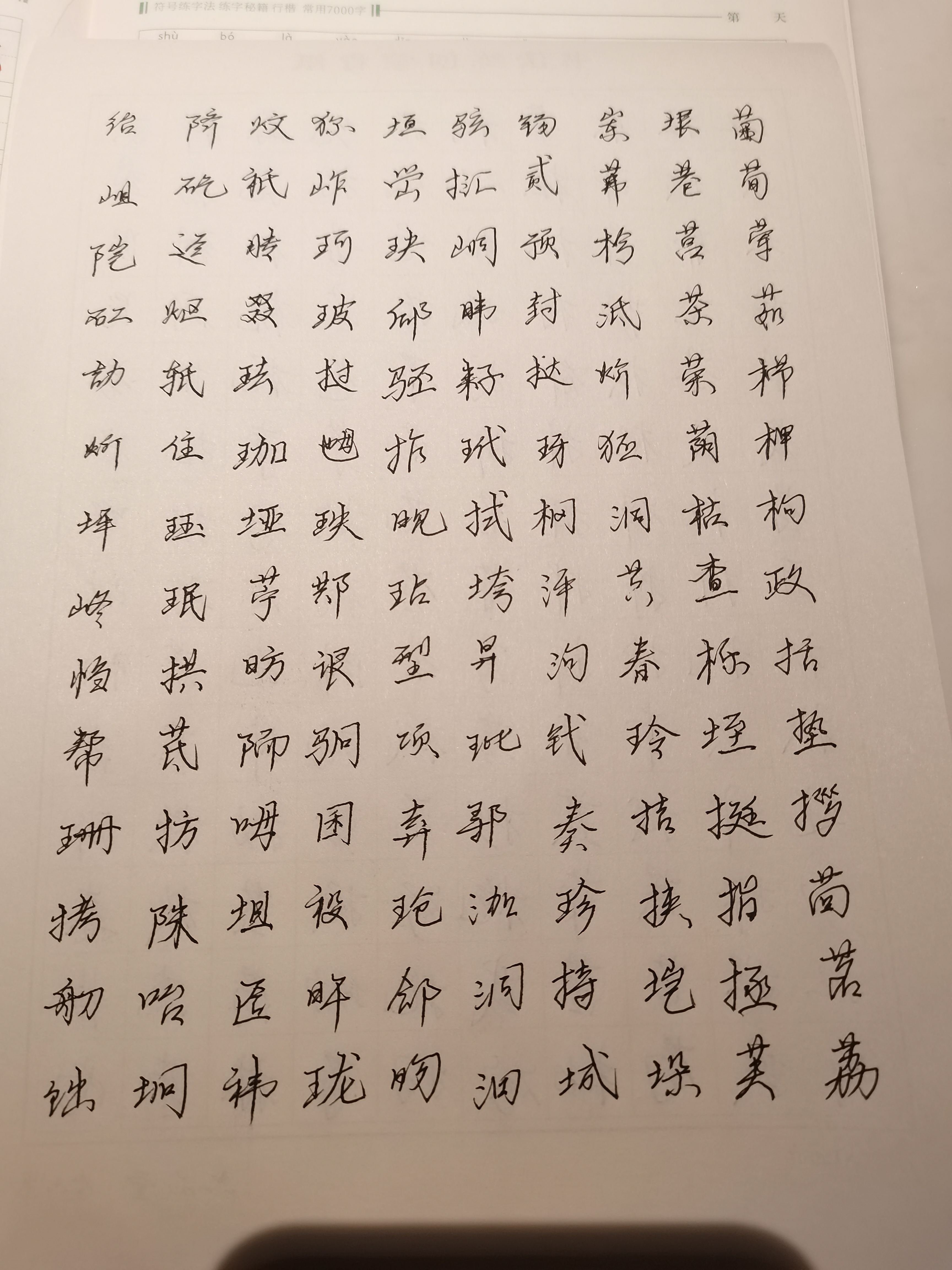 作业图片