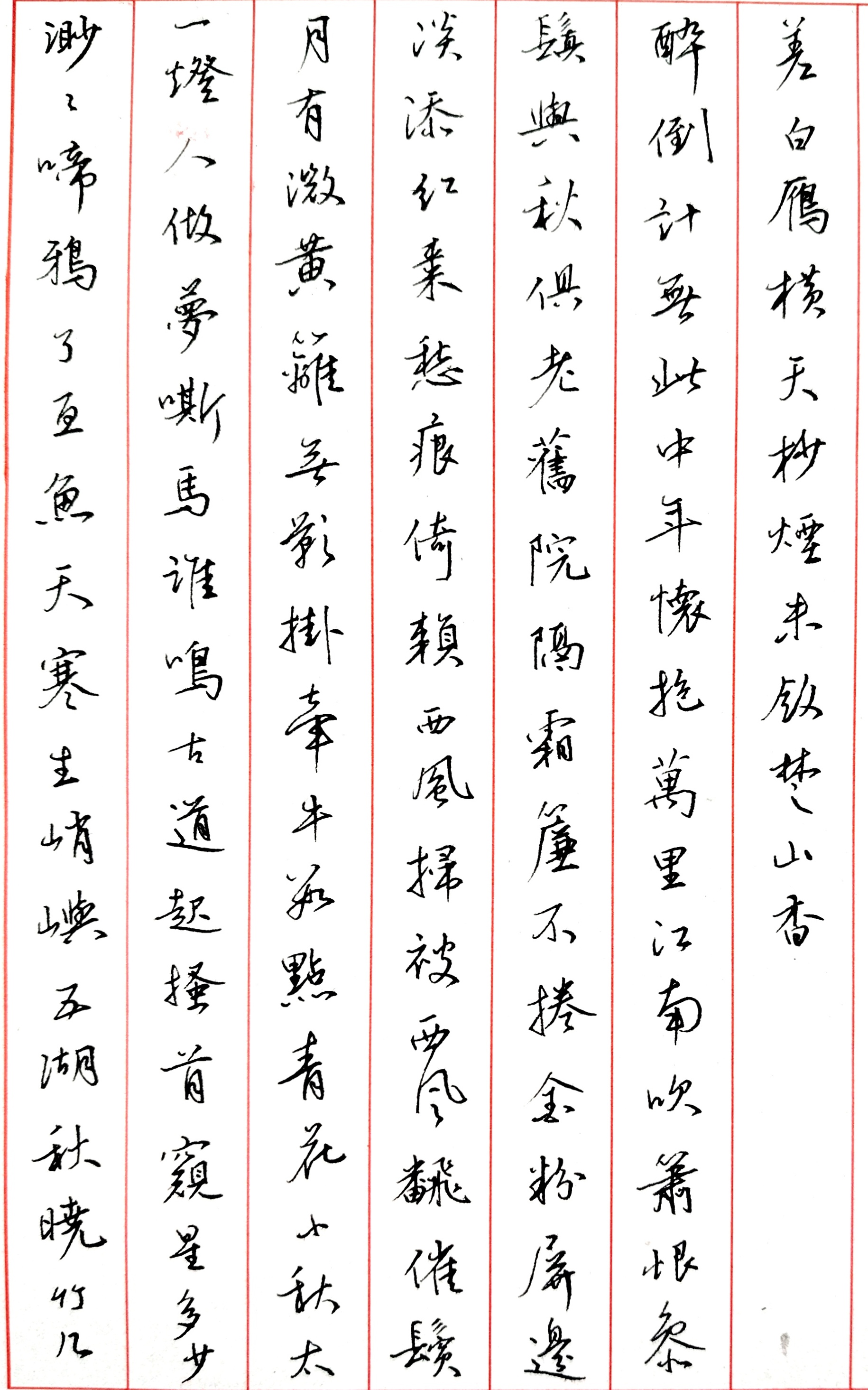作品图片