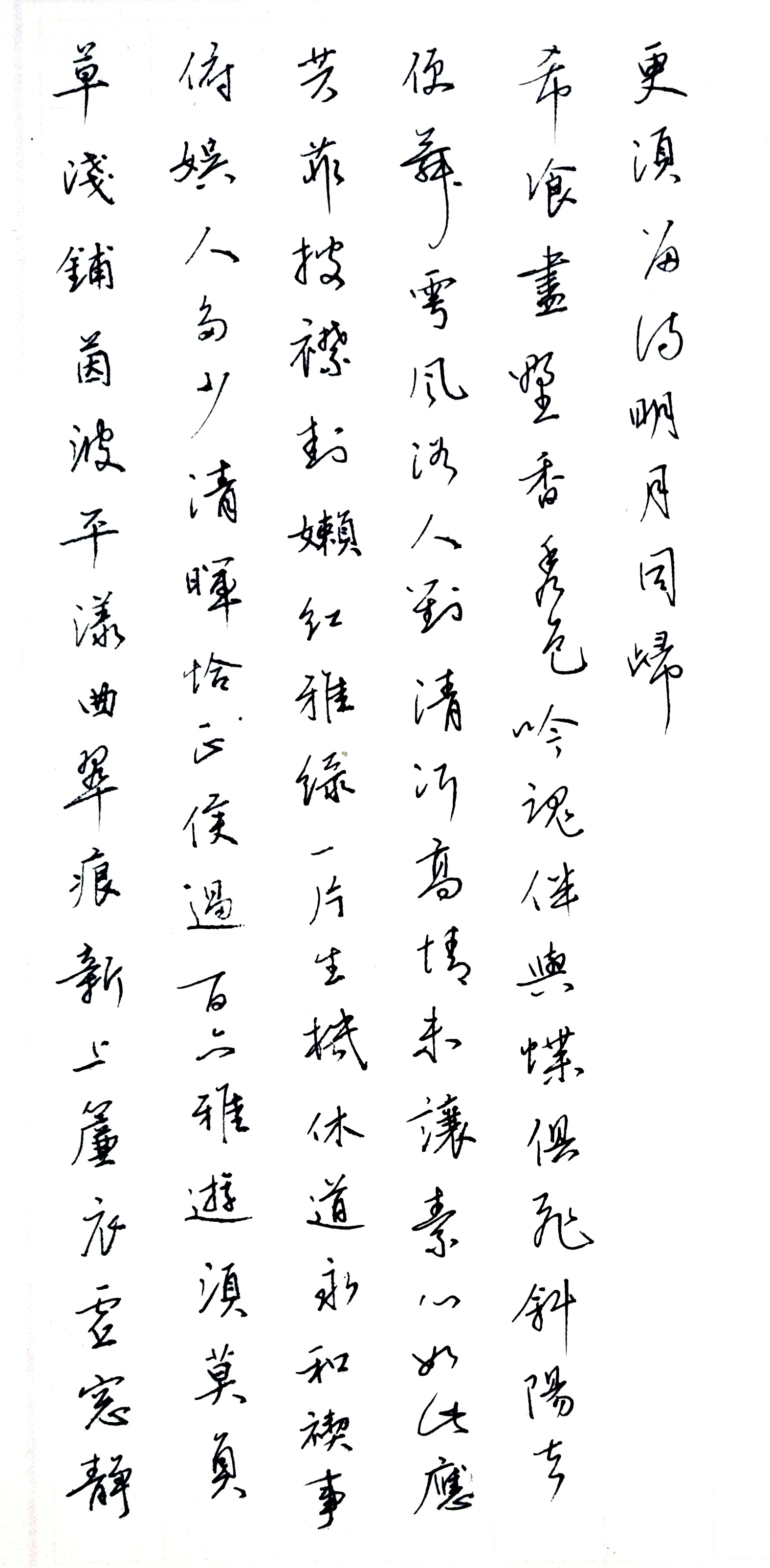 作品图片