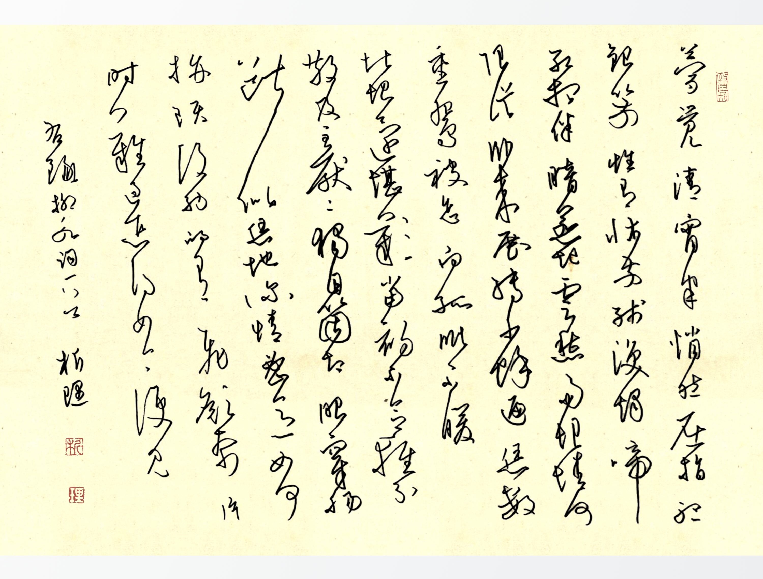 作品图片