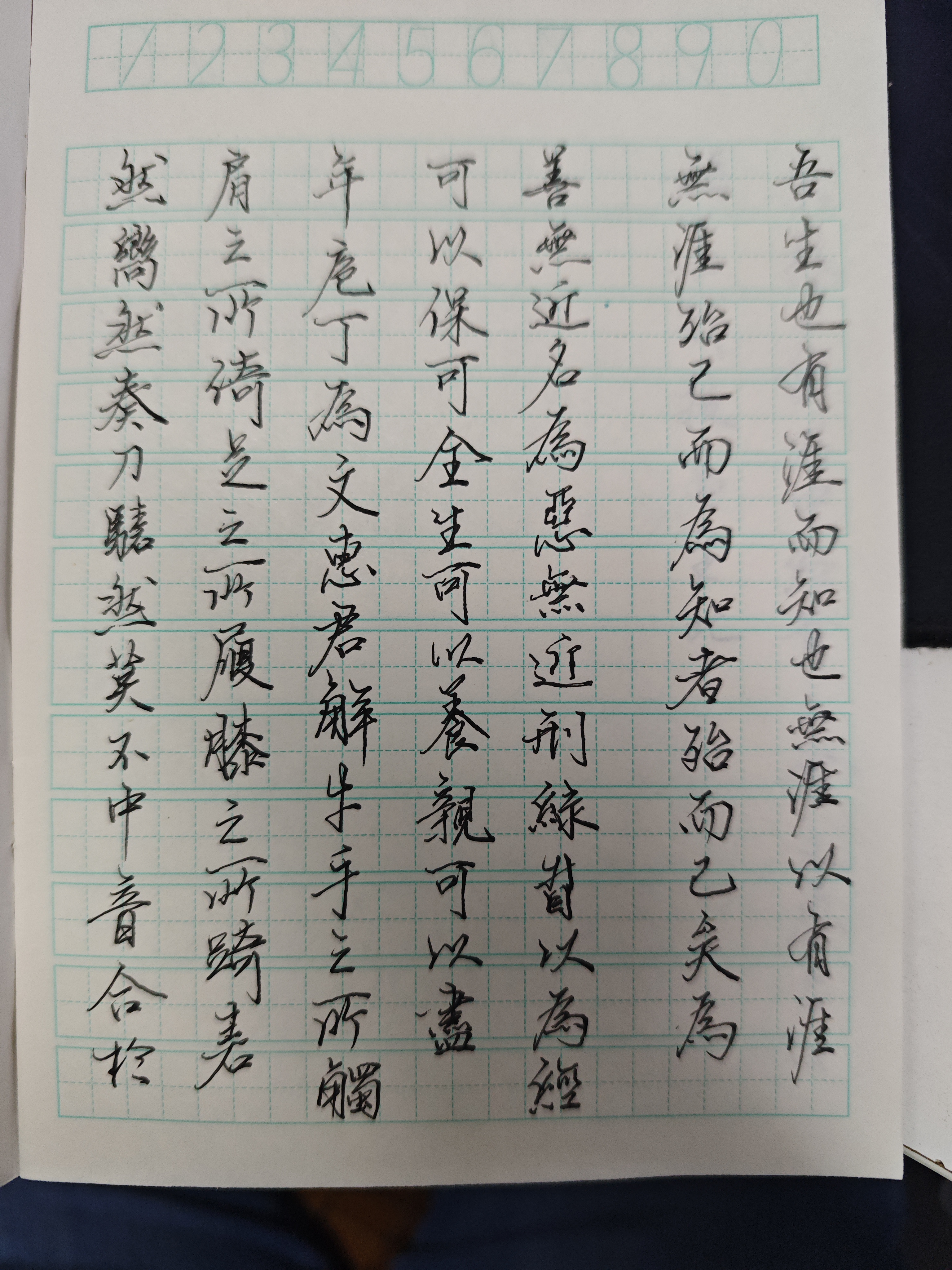 日打卡作品