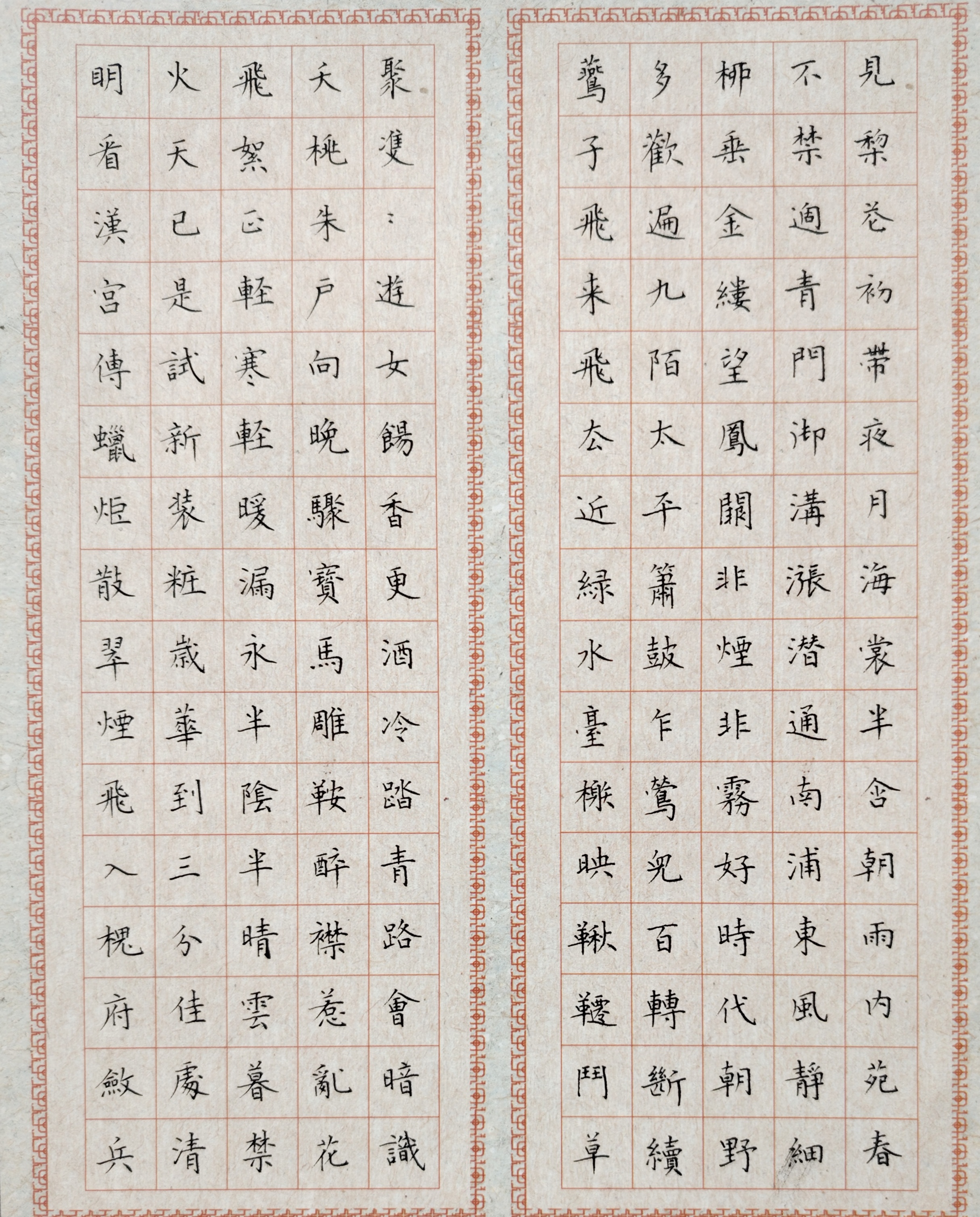 日打卡作品