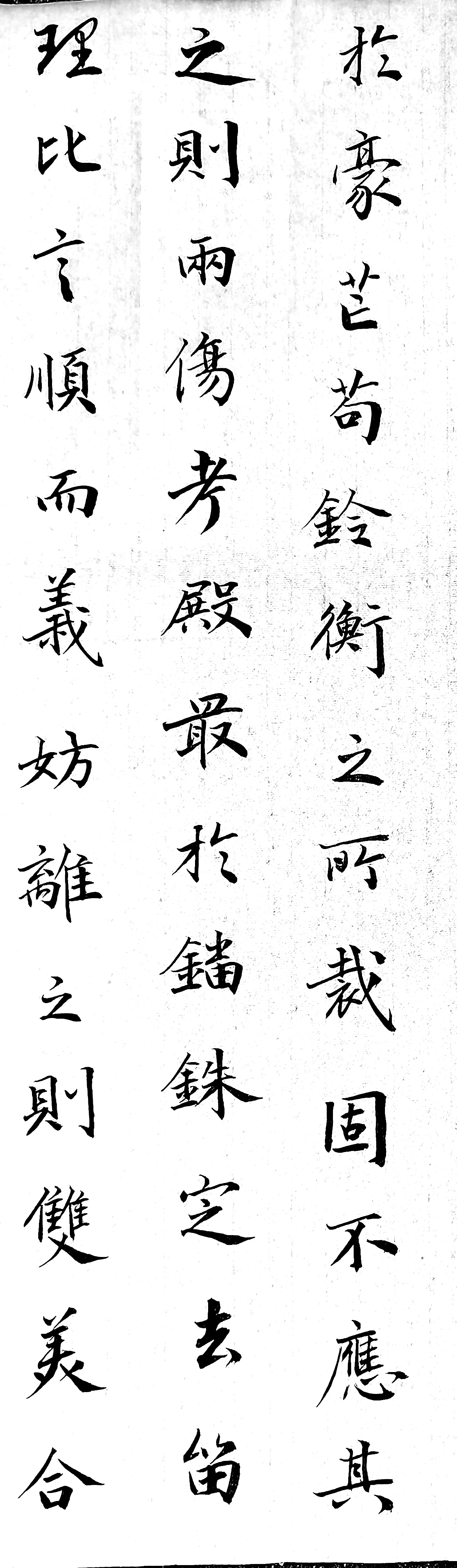 日打卡作品