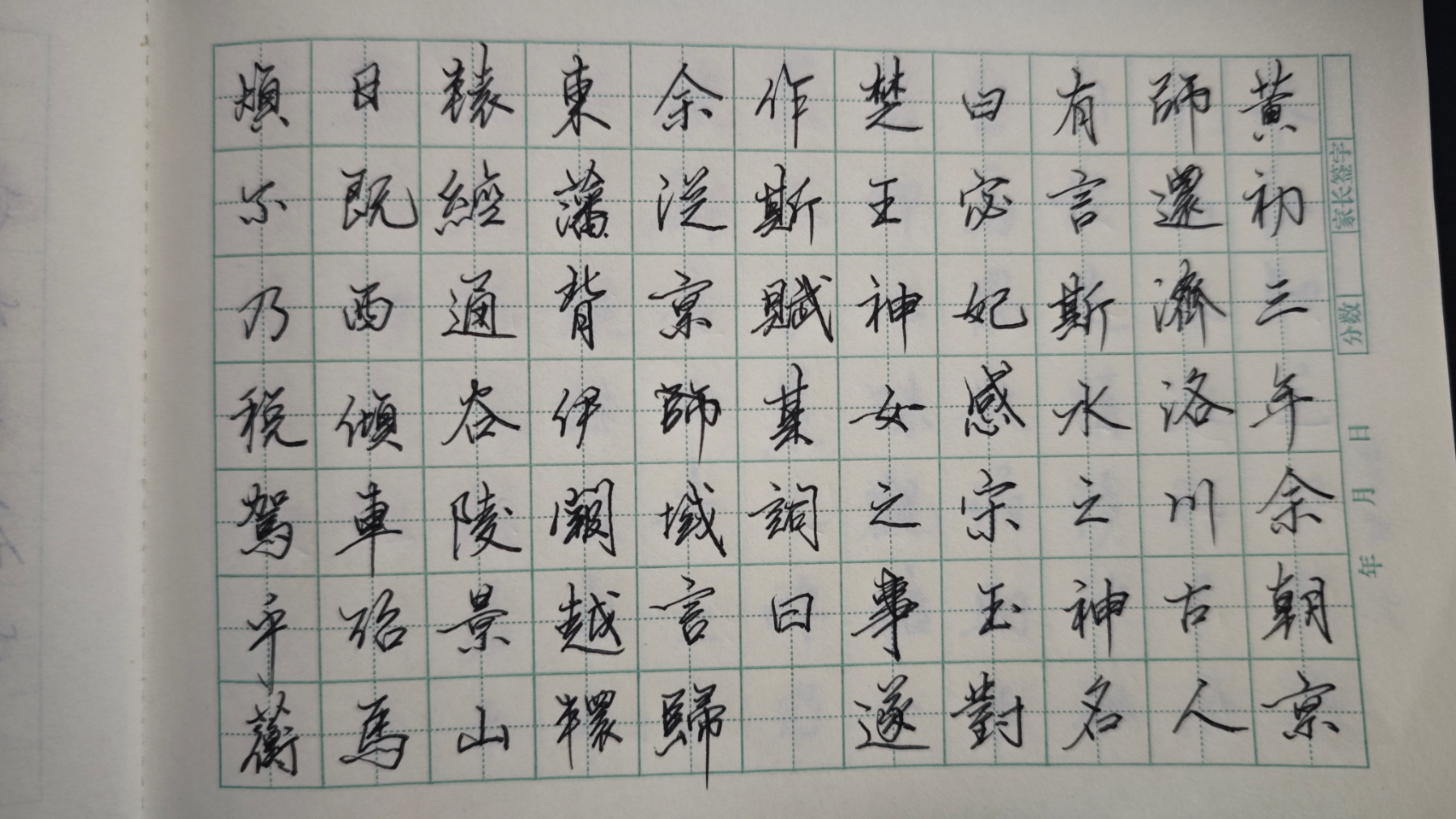 日打卡作品