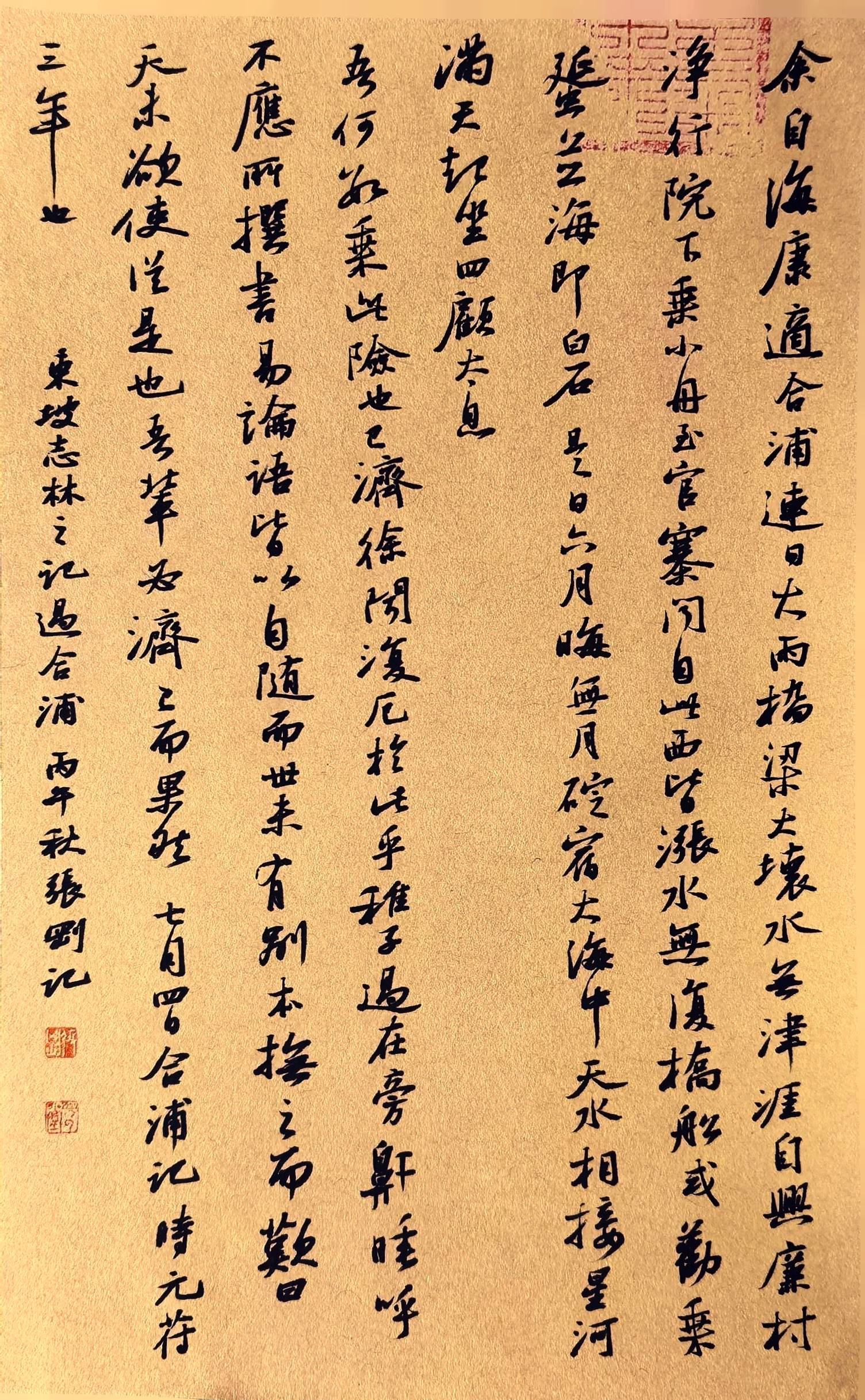 日打卡作品