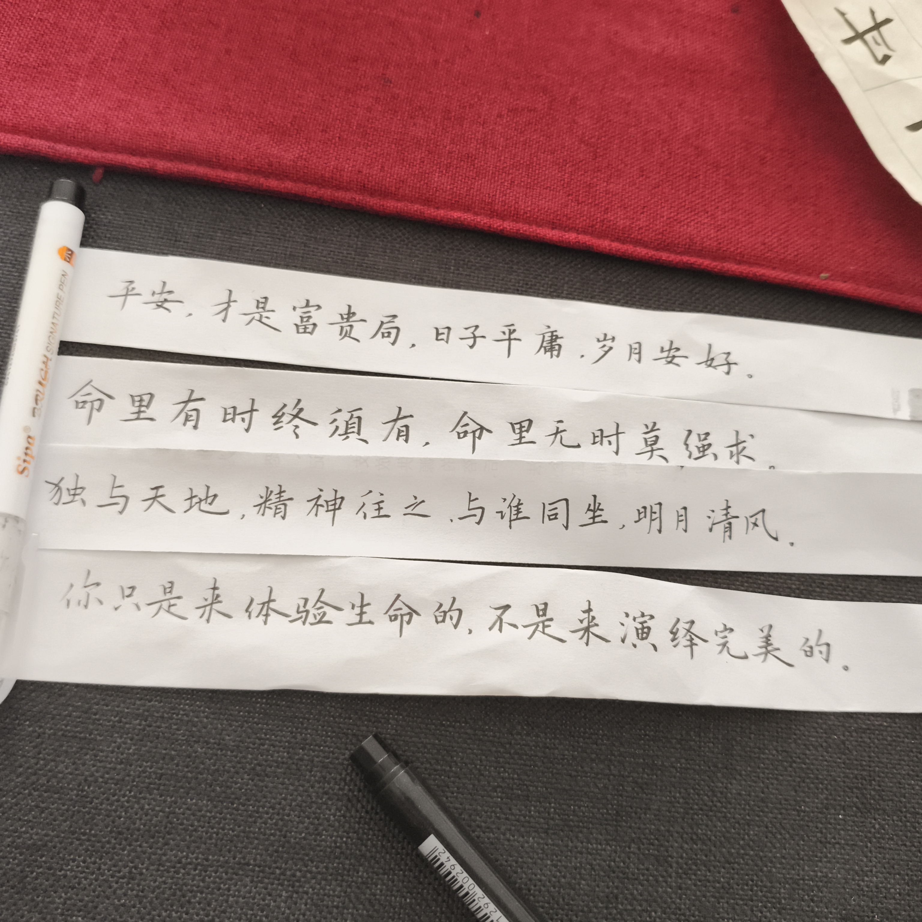 日打卡作品