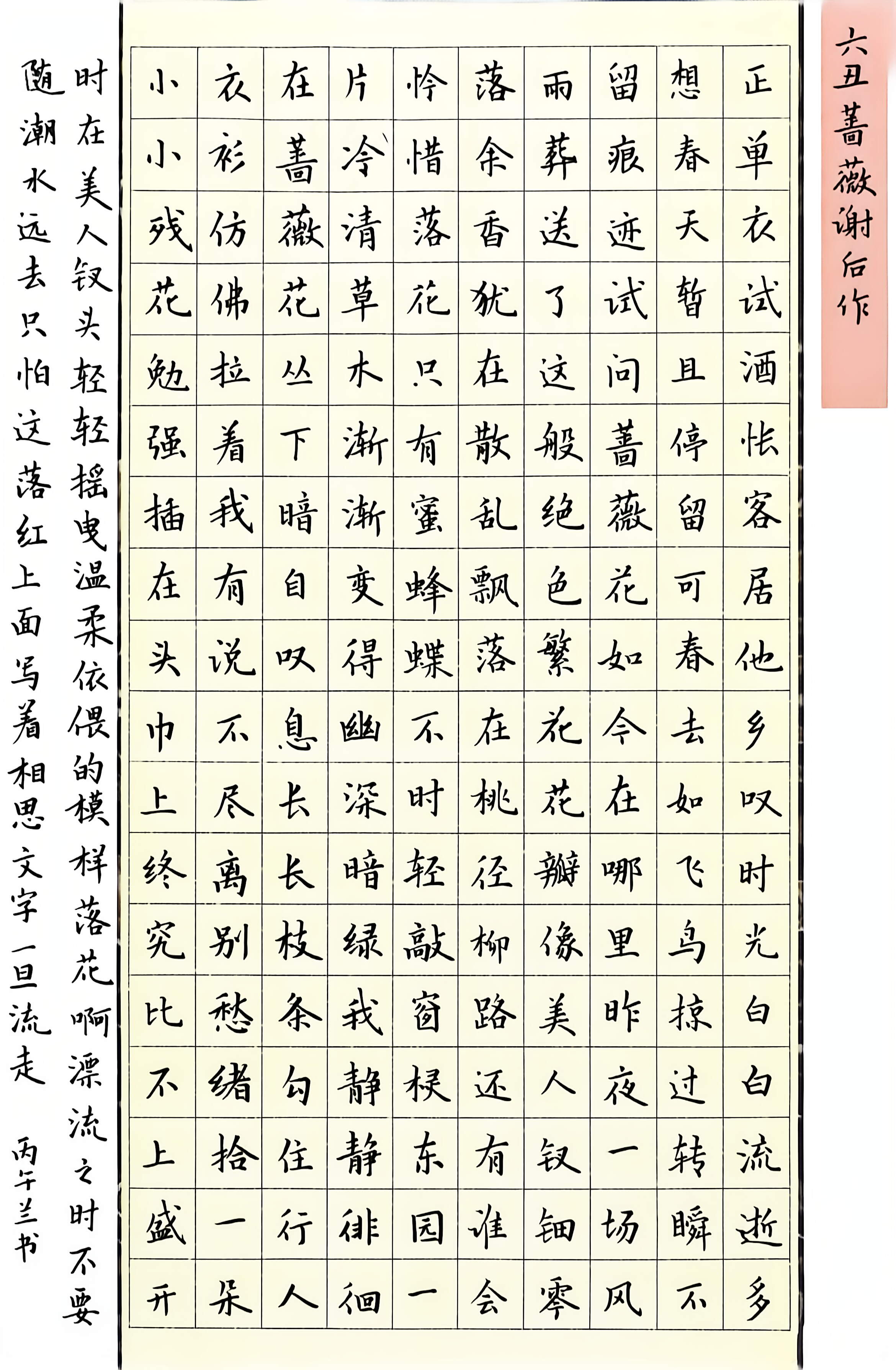 日打卡作品