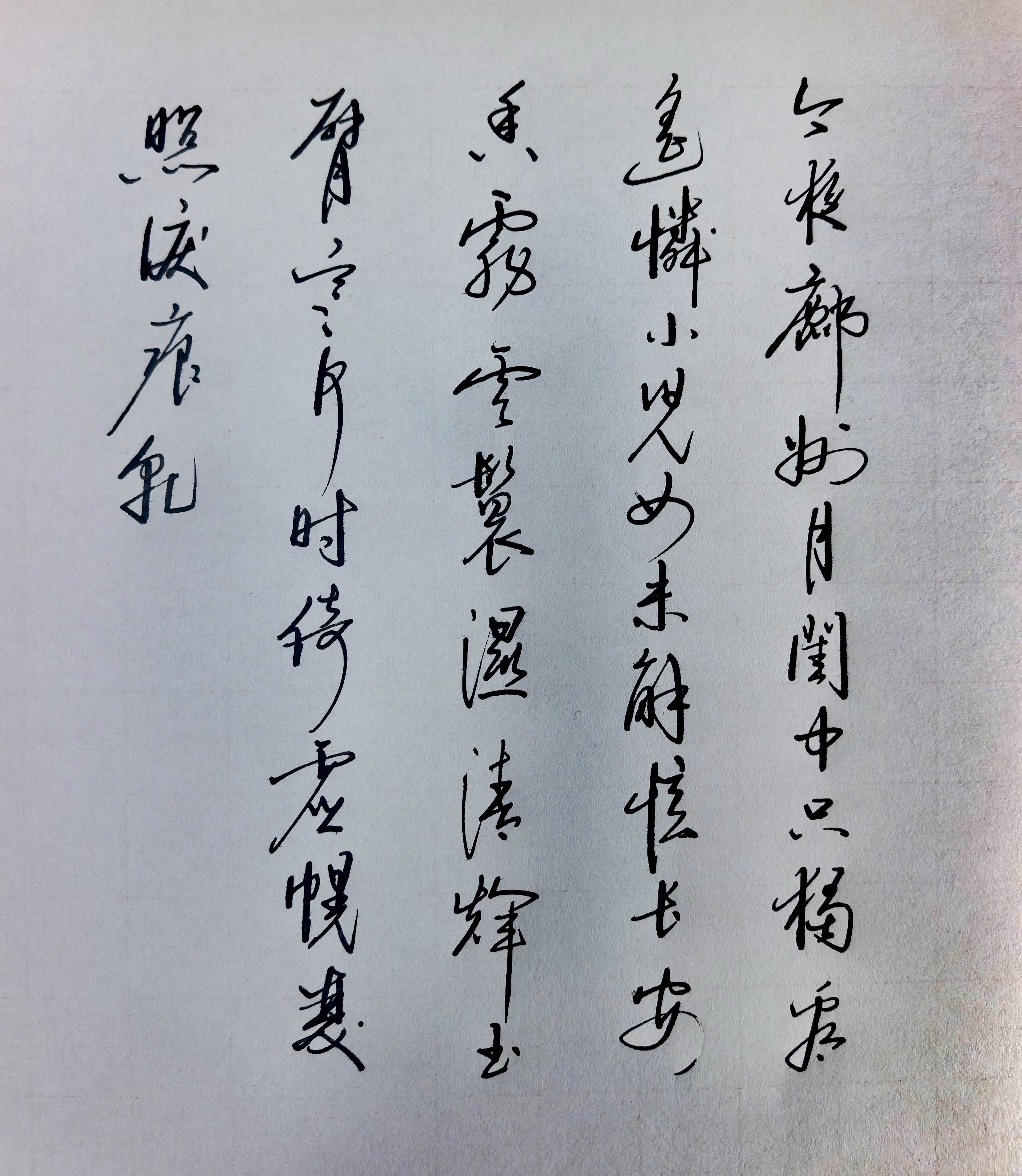 日打卡作品