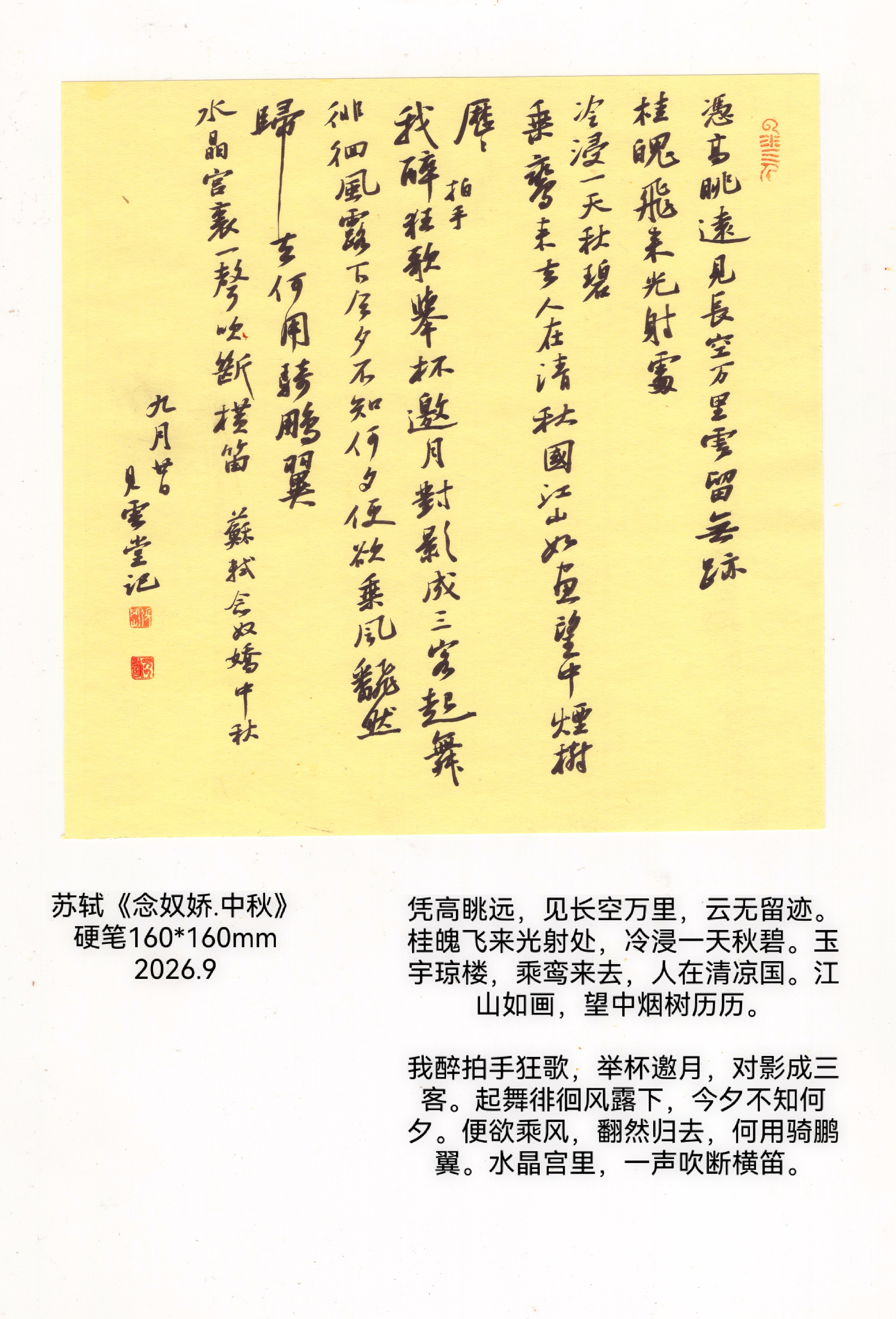 日打卡作品