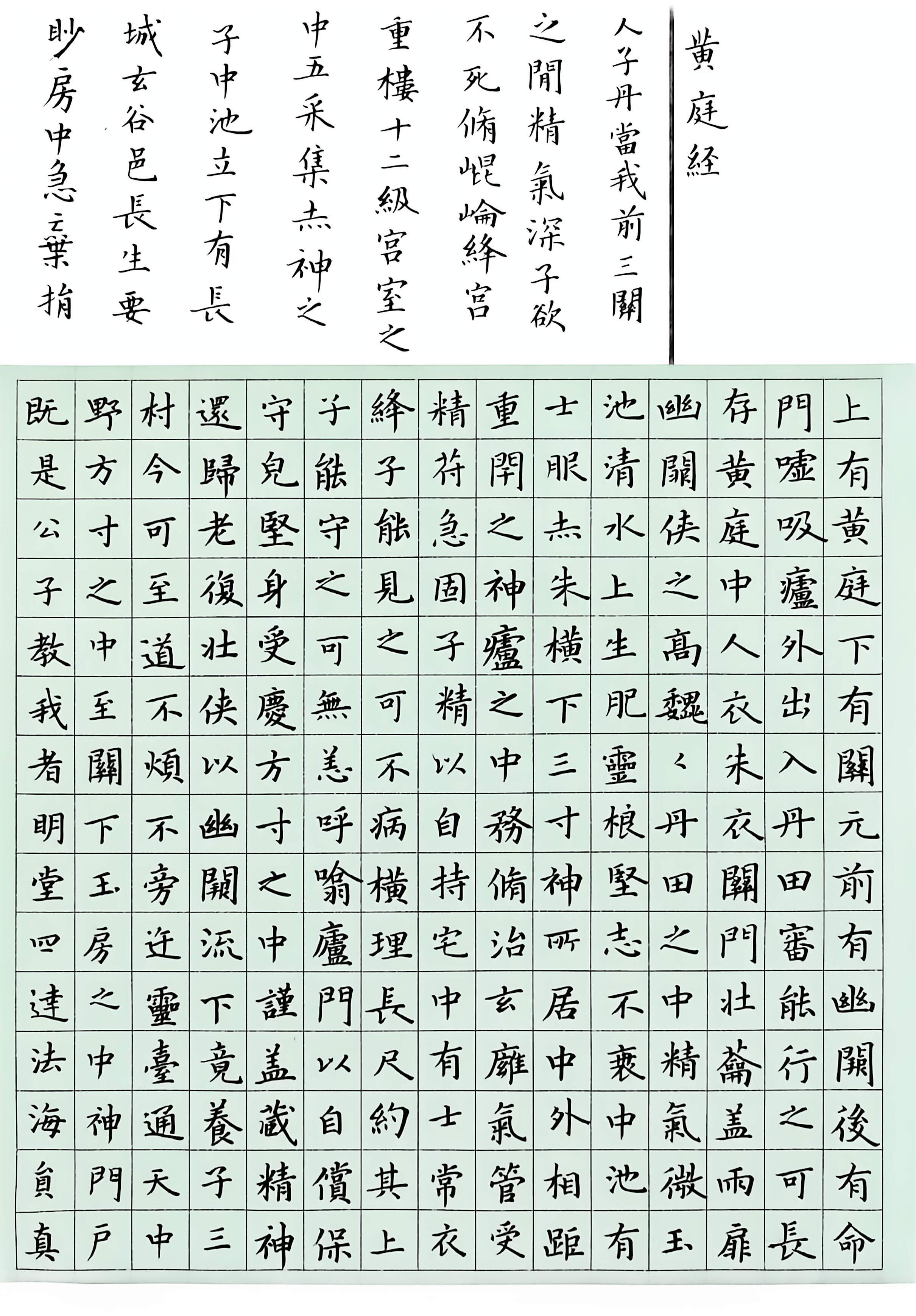 日打卡作品