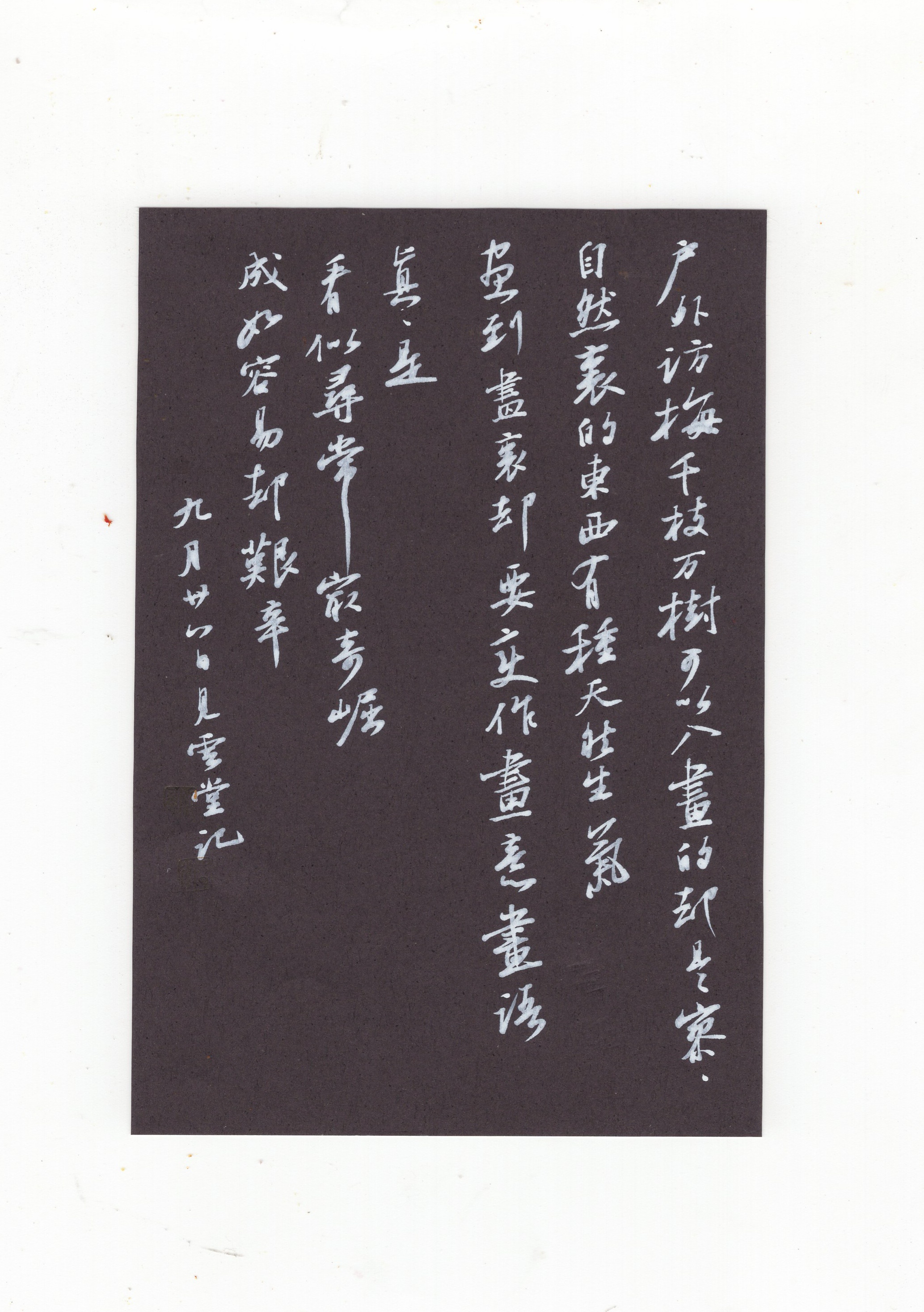 日打卡作品