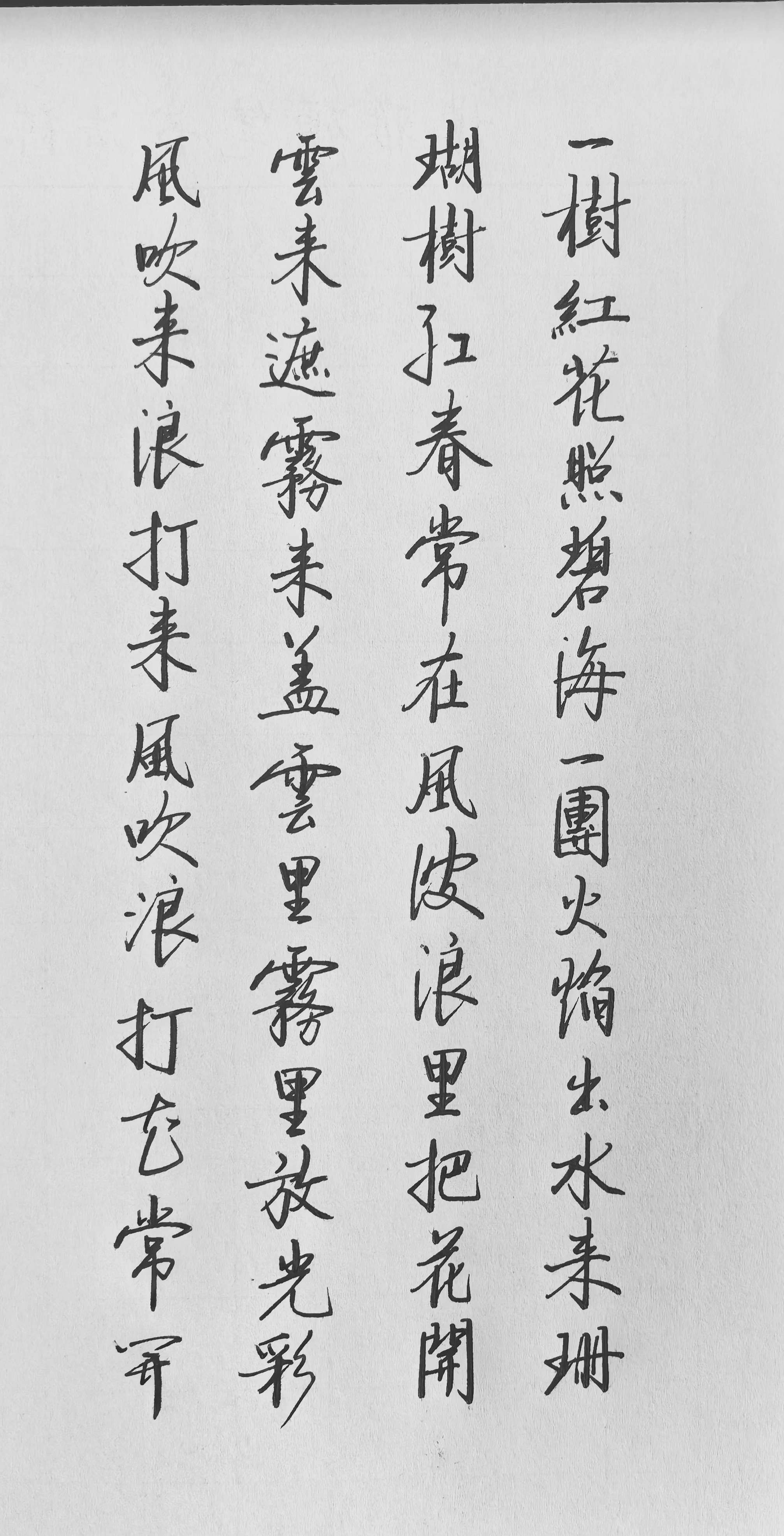 日打卡作品